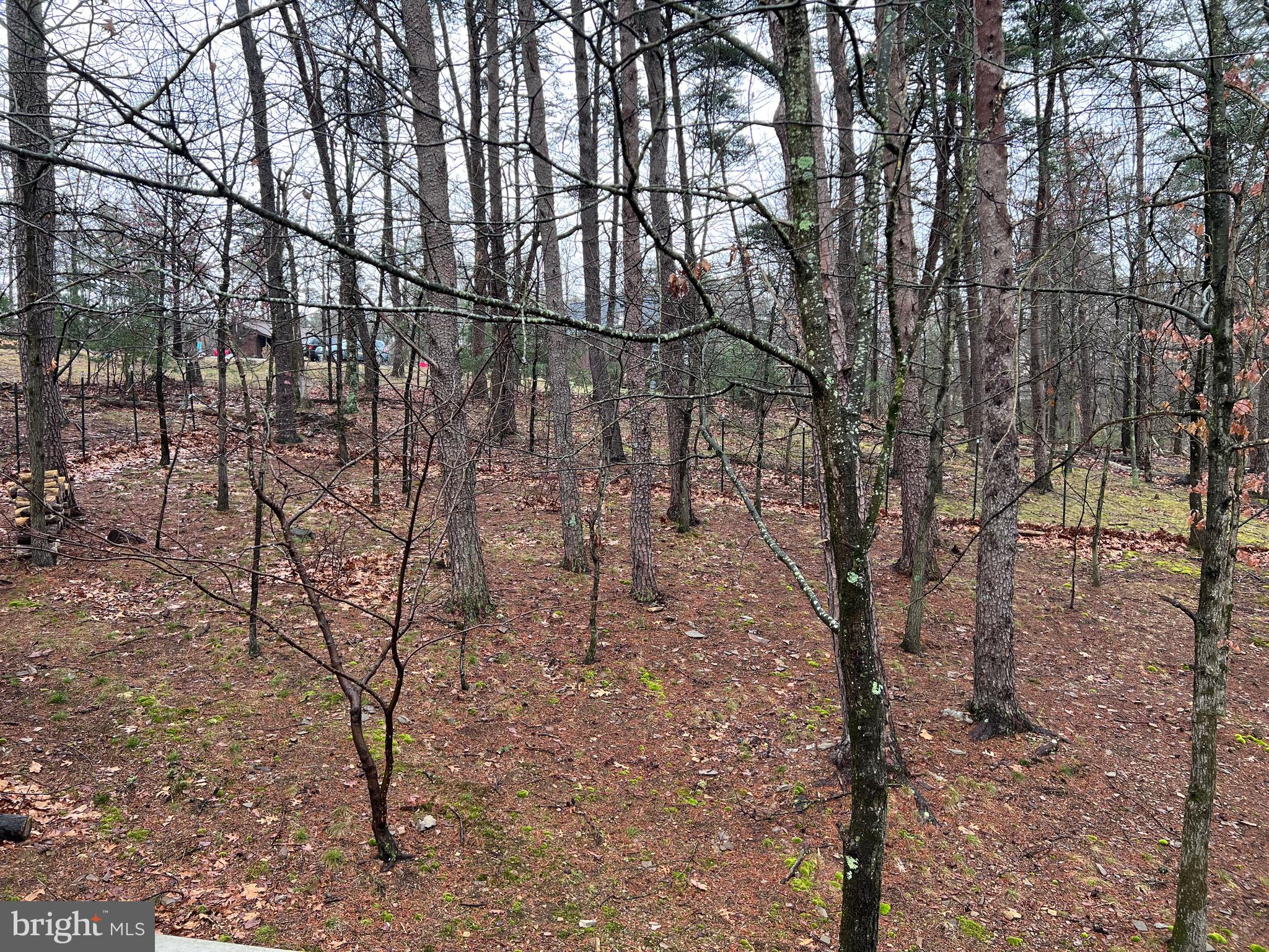 OAK FOREST SUBDIVISION - Residential