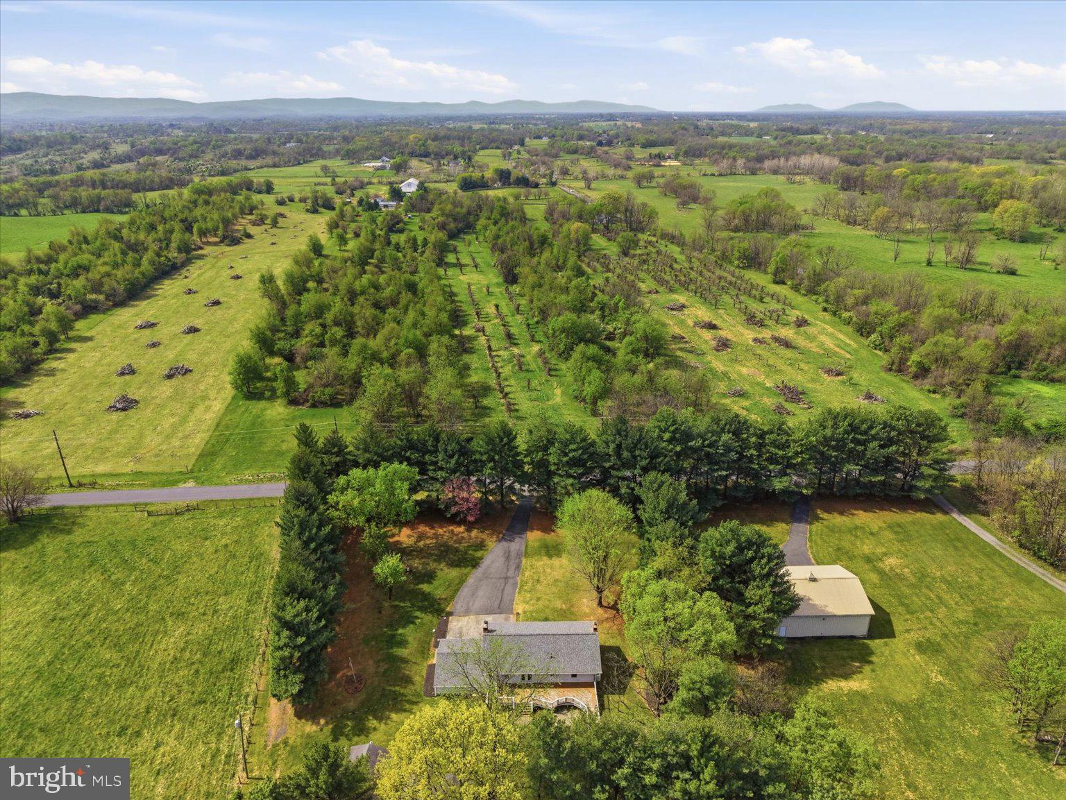 LONGMARSH - Residential