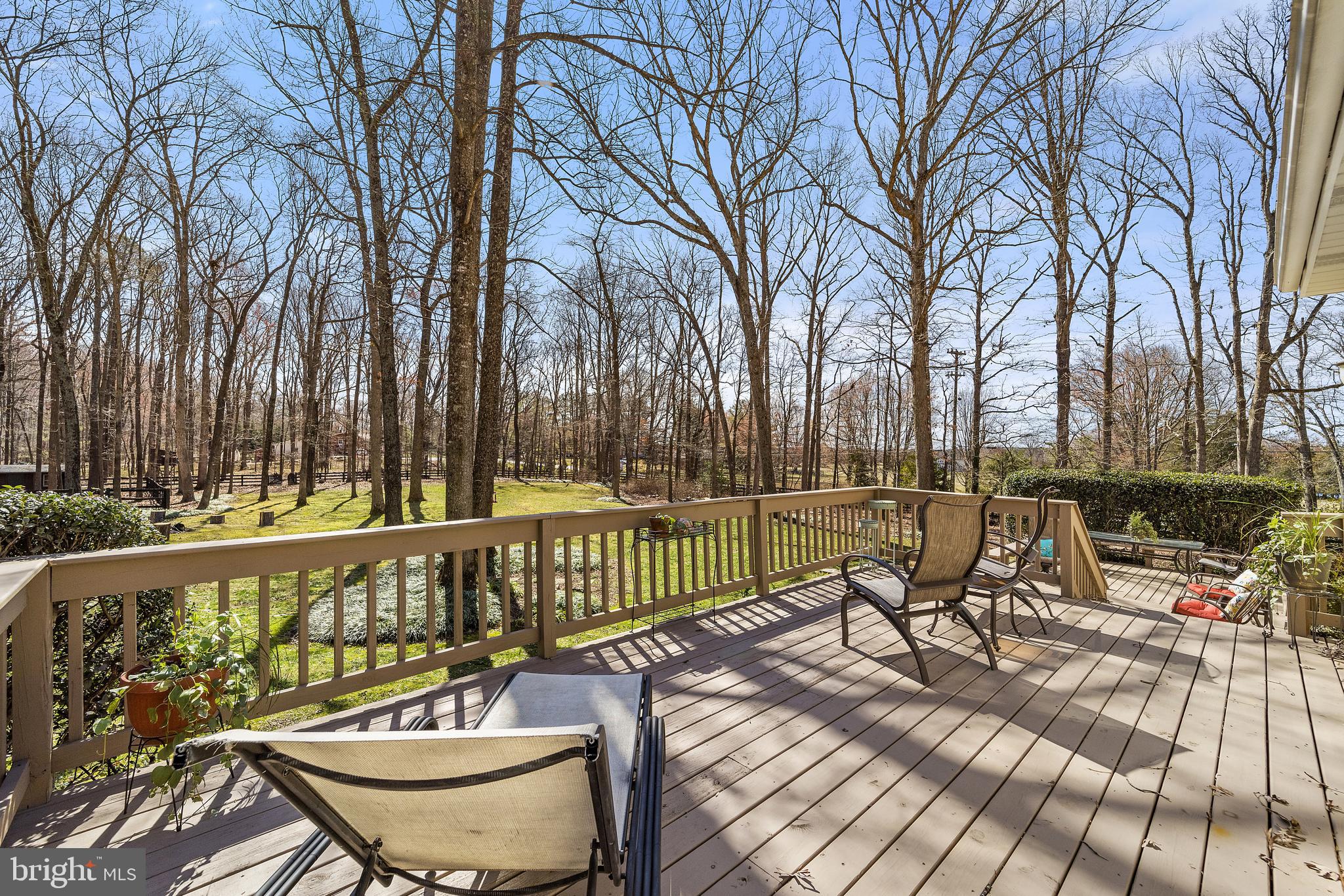 STEEPLECHASE WOODS - Residential