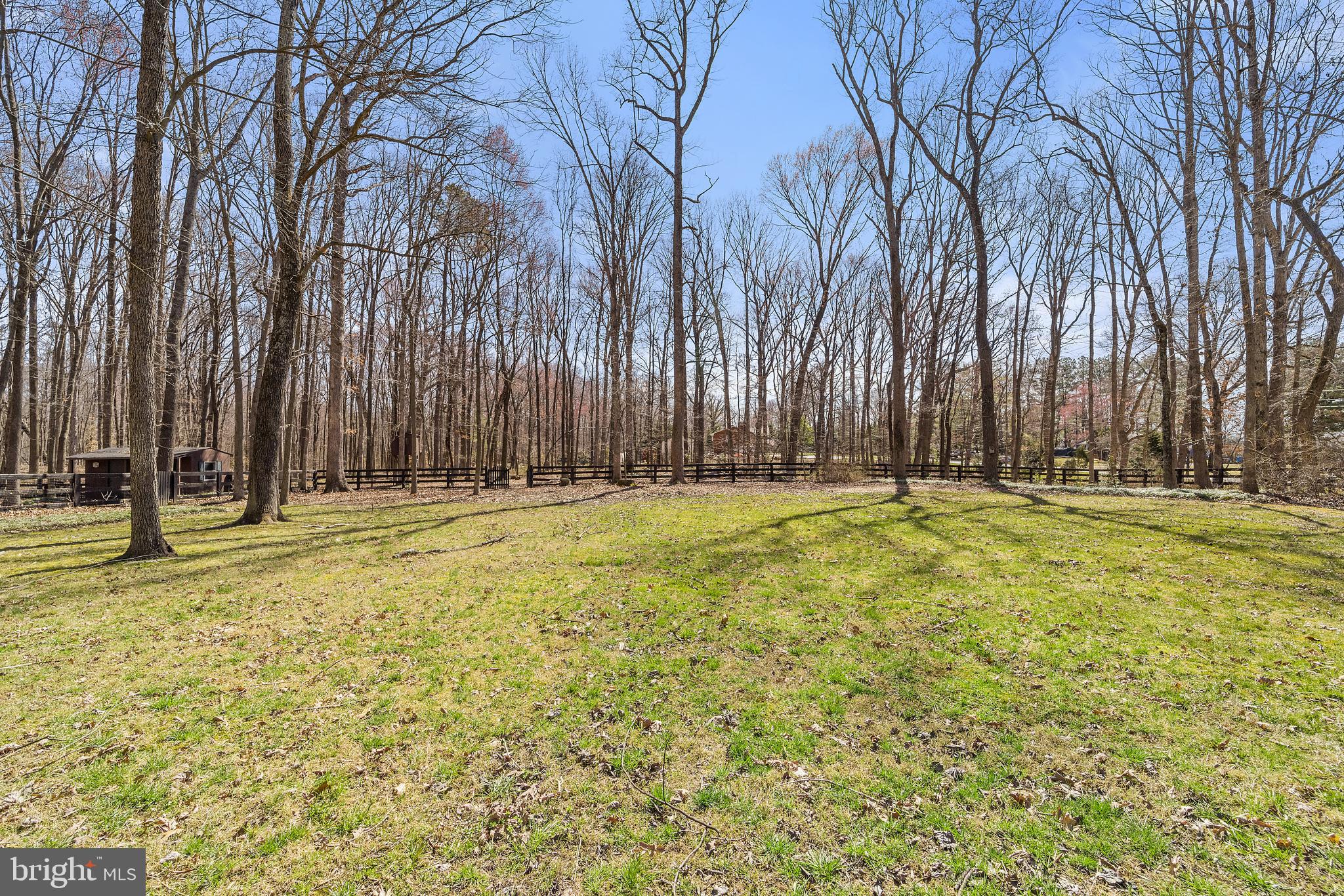 STEEPLECHASE WOODS - Residential