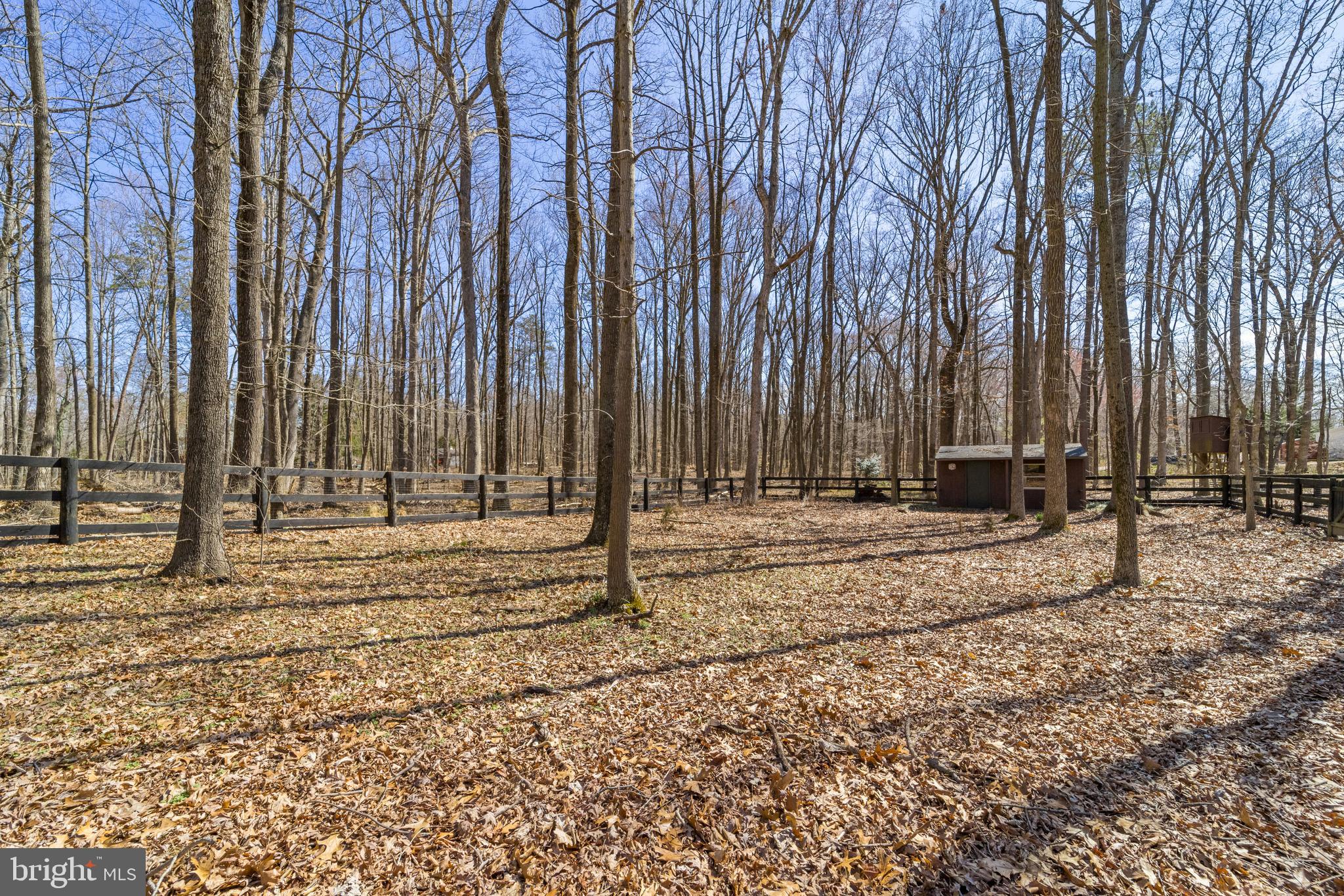 STEEPLECHASE WOODS - Residential