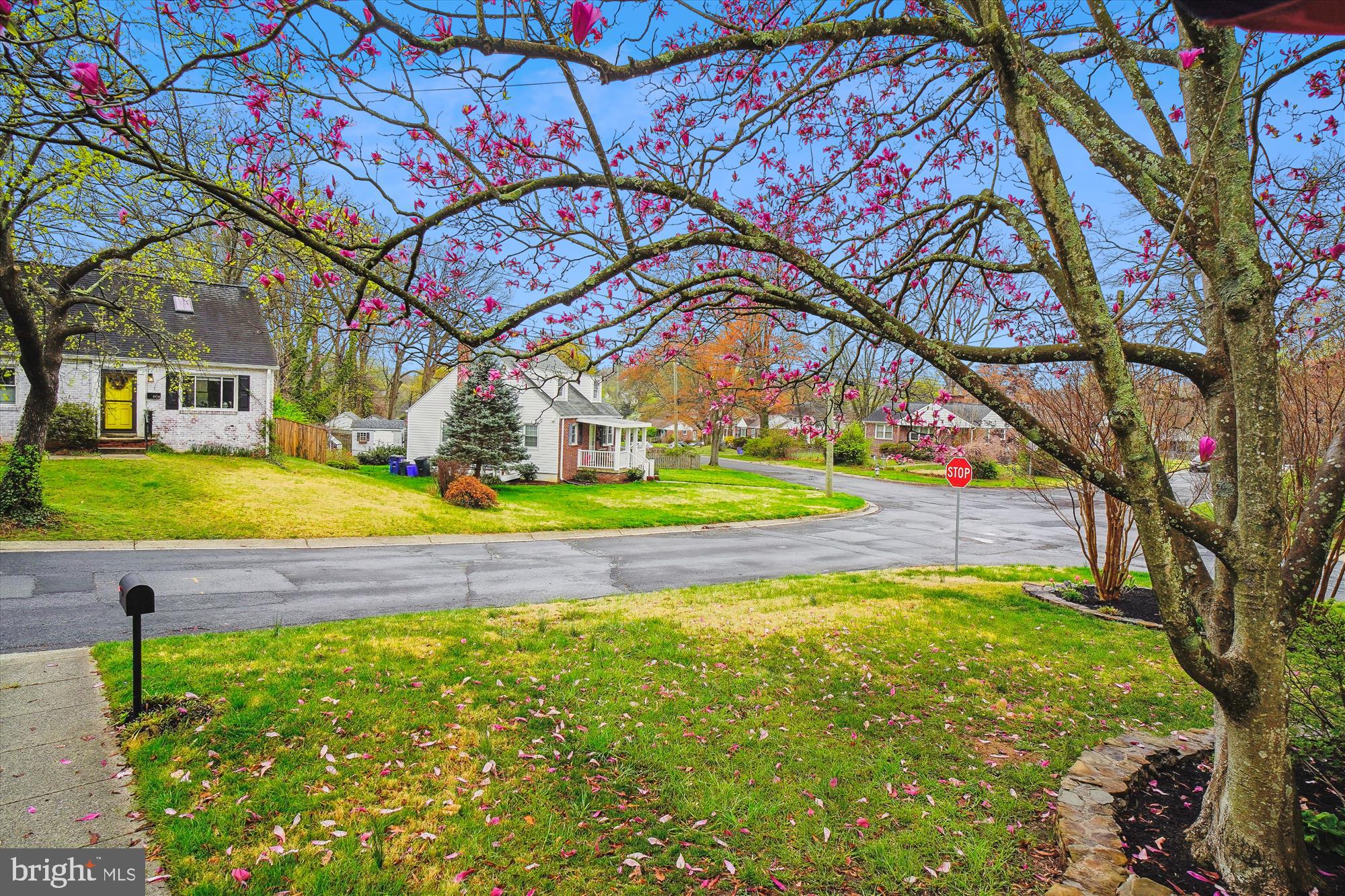 CAMERON HEIGHTS - Residential