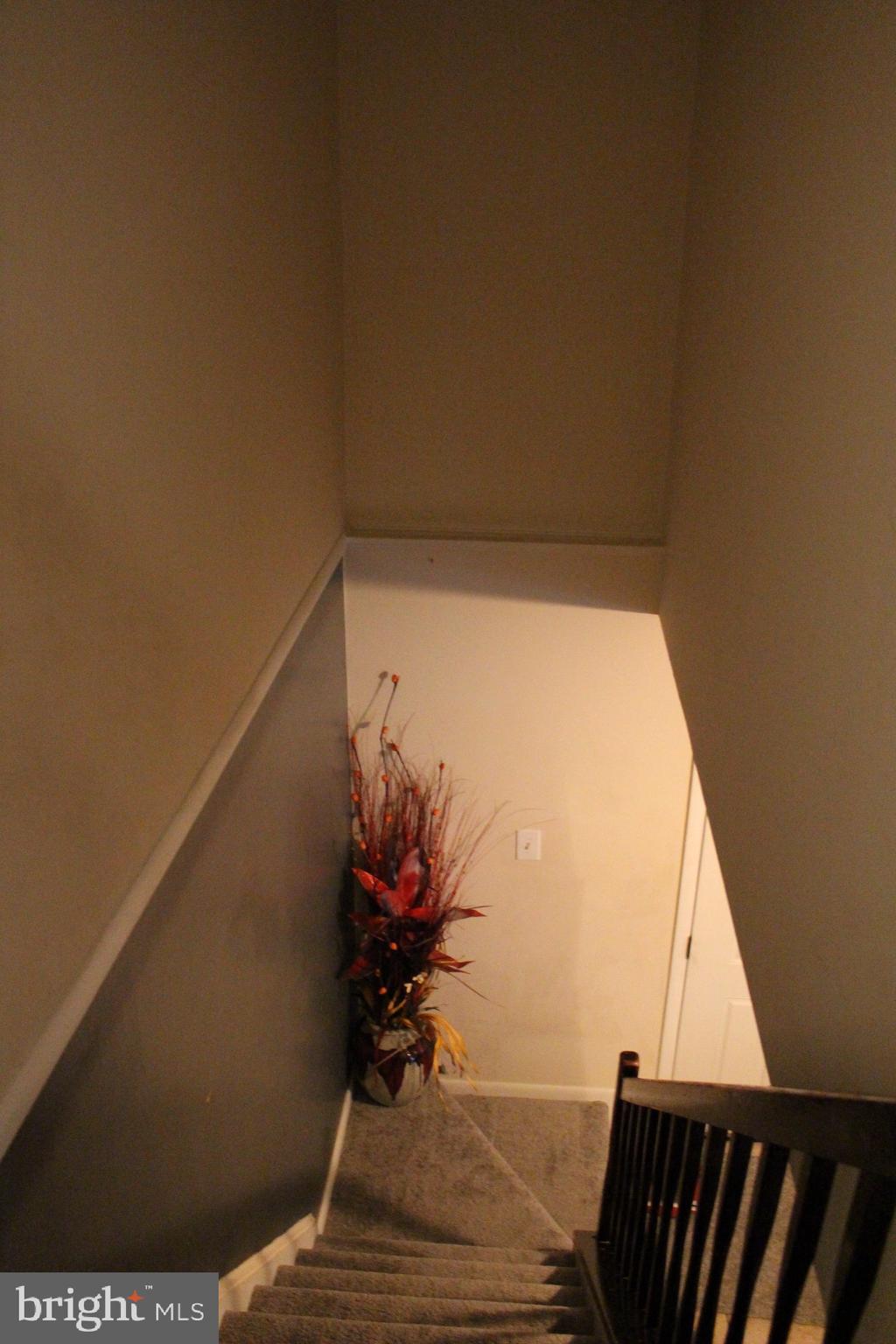 CINNAMON RIDGE CONDO - Residential