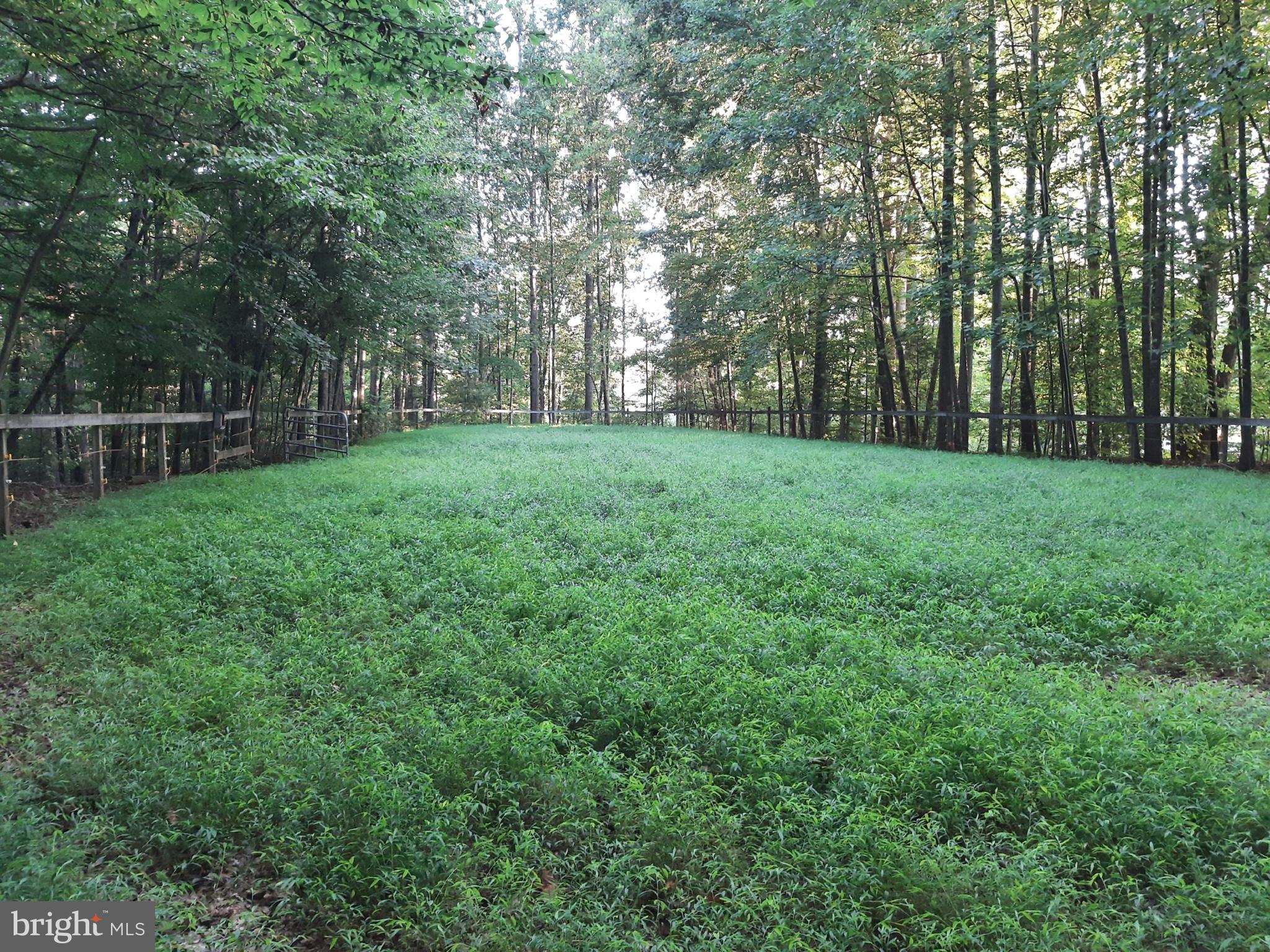 WOLF RUN - Residential Lease