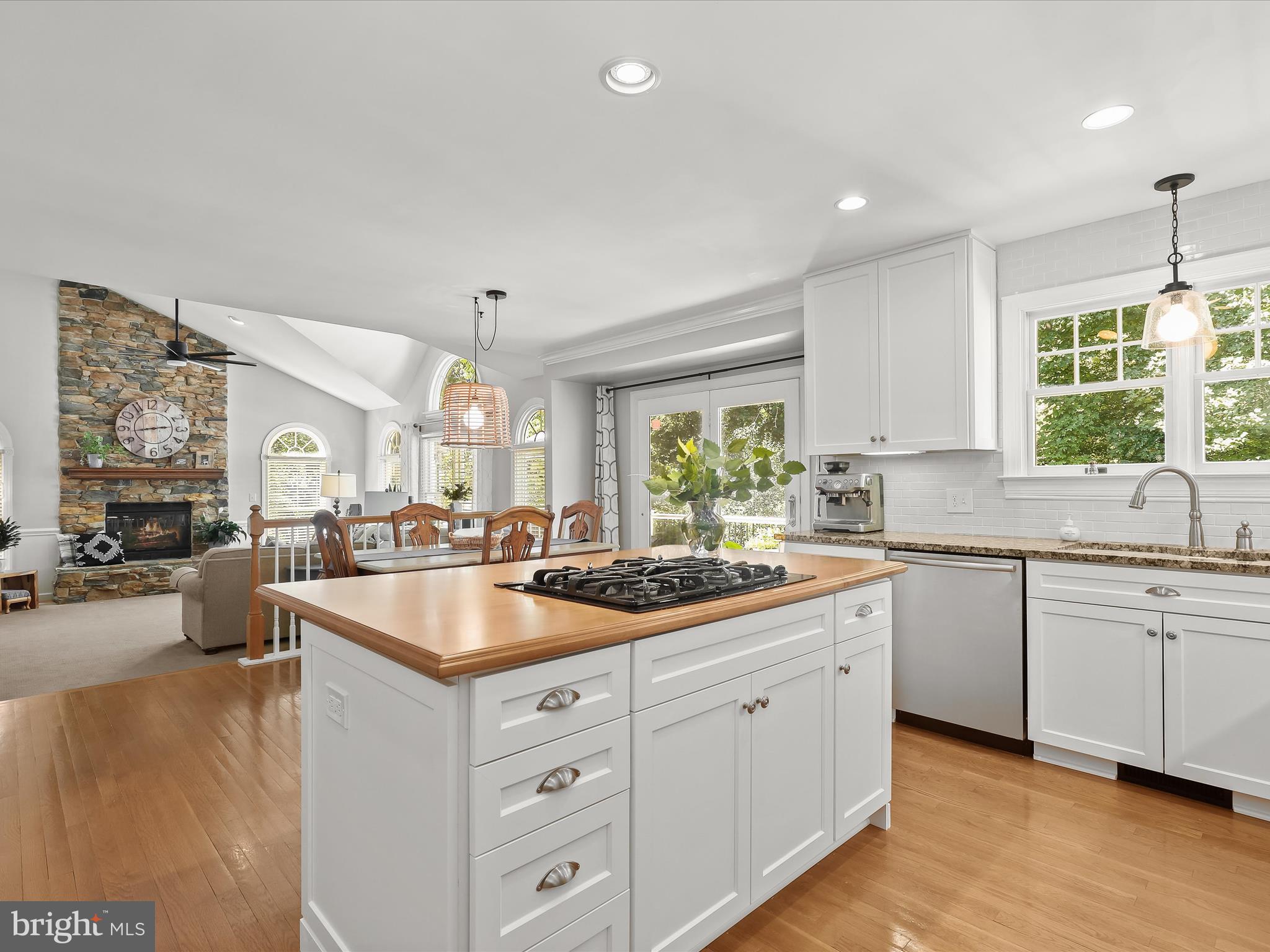 POINTERS RUN - Residential