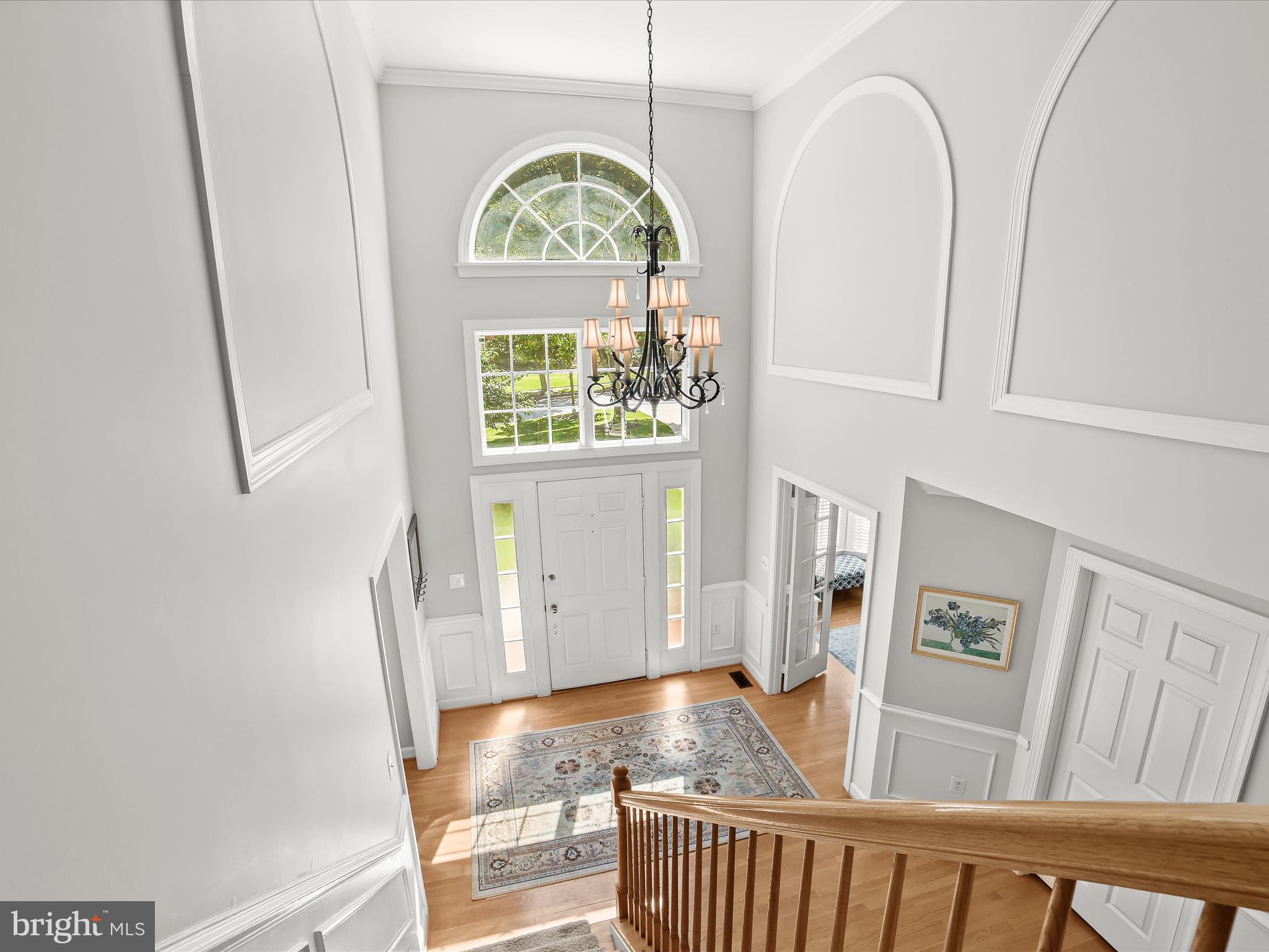 POINTERS RUN - Residential