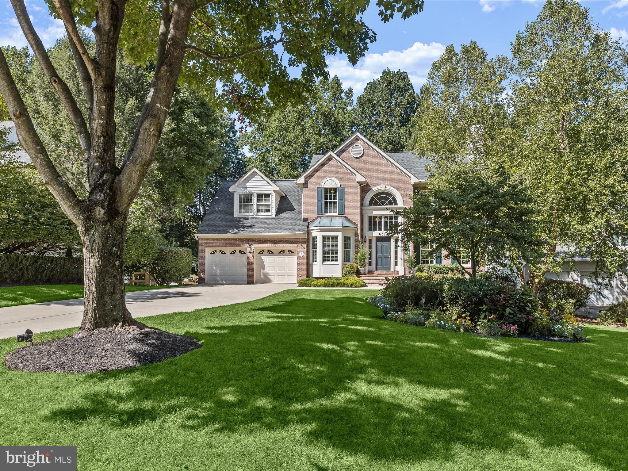 POINTERS RUN - Residential