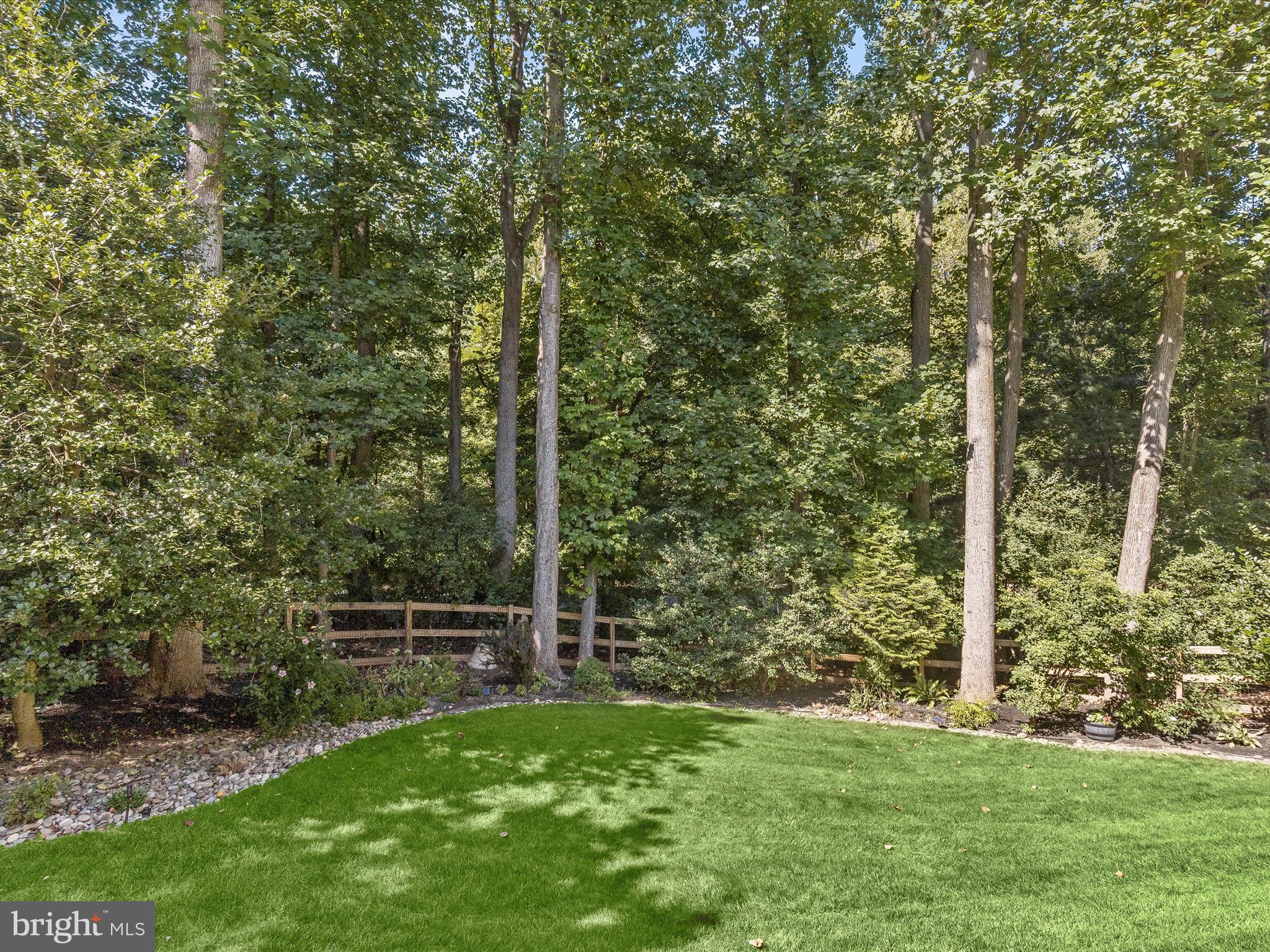 POINTERS RUN - Residential