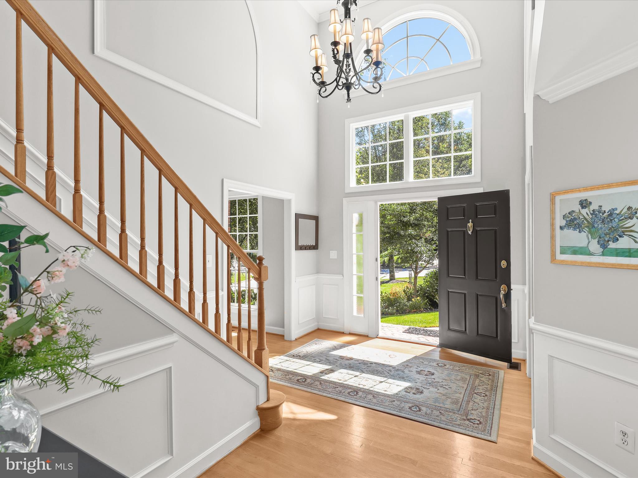 POINTERS RUN - Residential