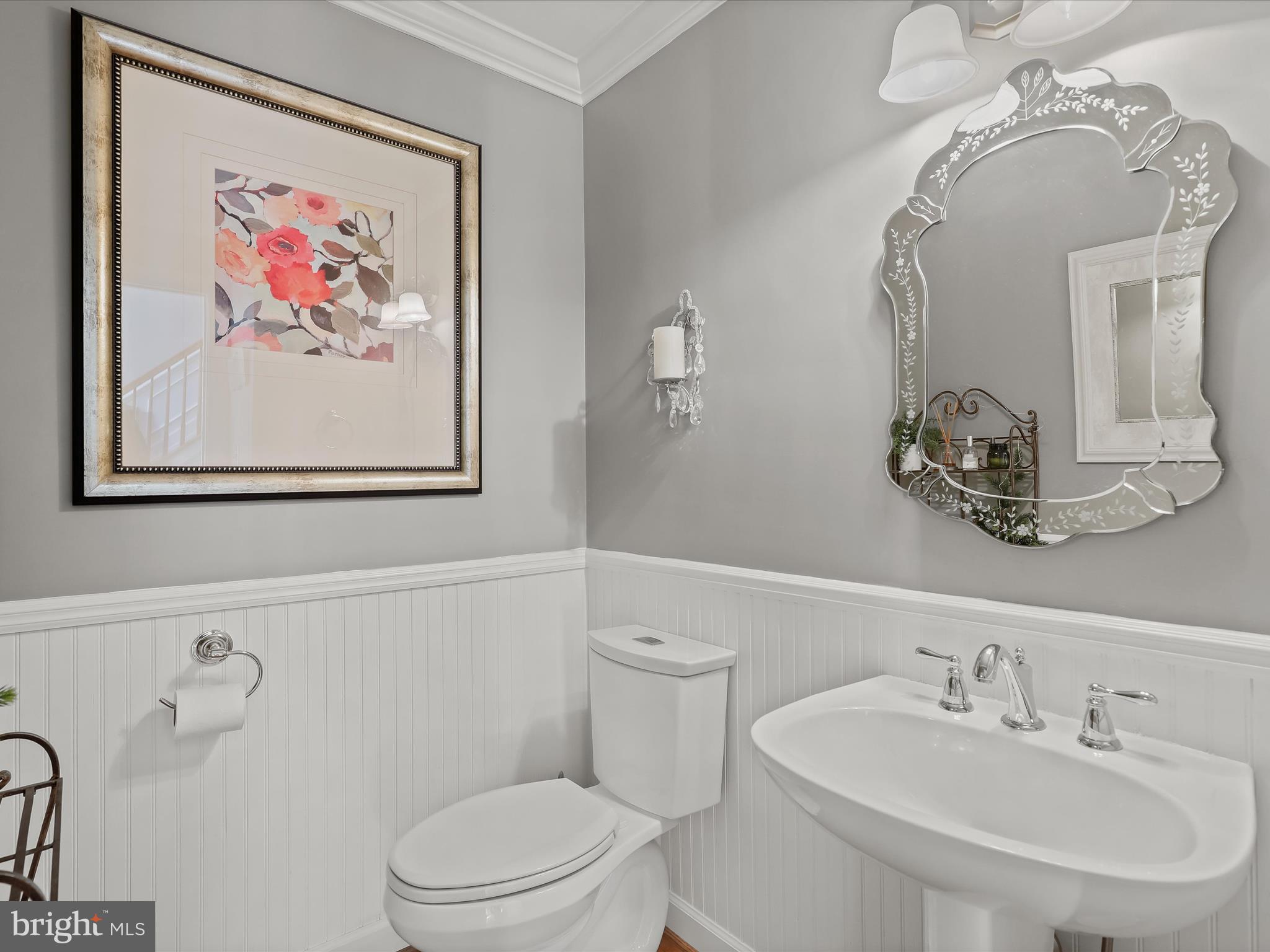 POINTERS RUN - Residential