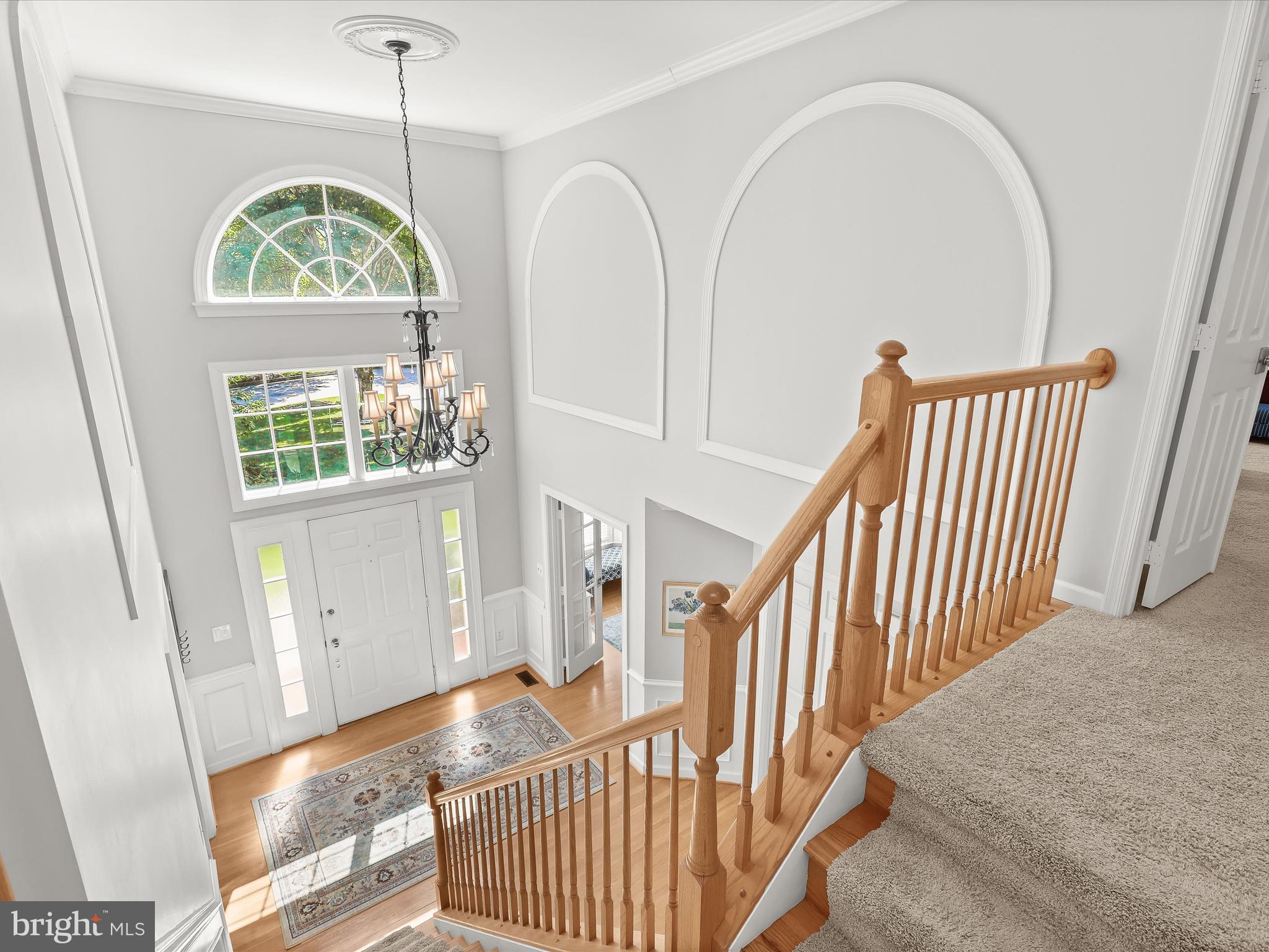 POINTERS RUN - Residential