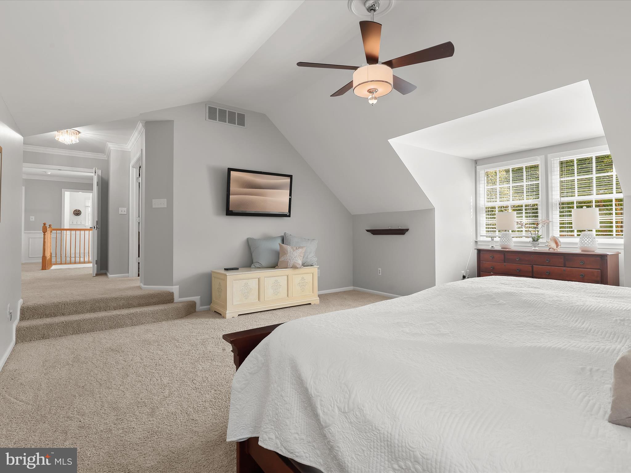 POINTERS RUN - Residential