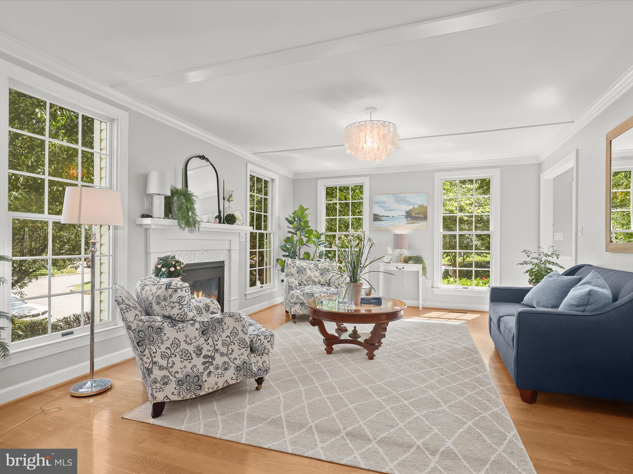 POINTERS RUN - Residential