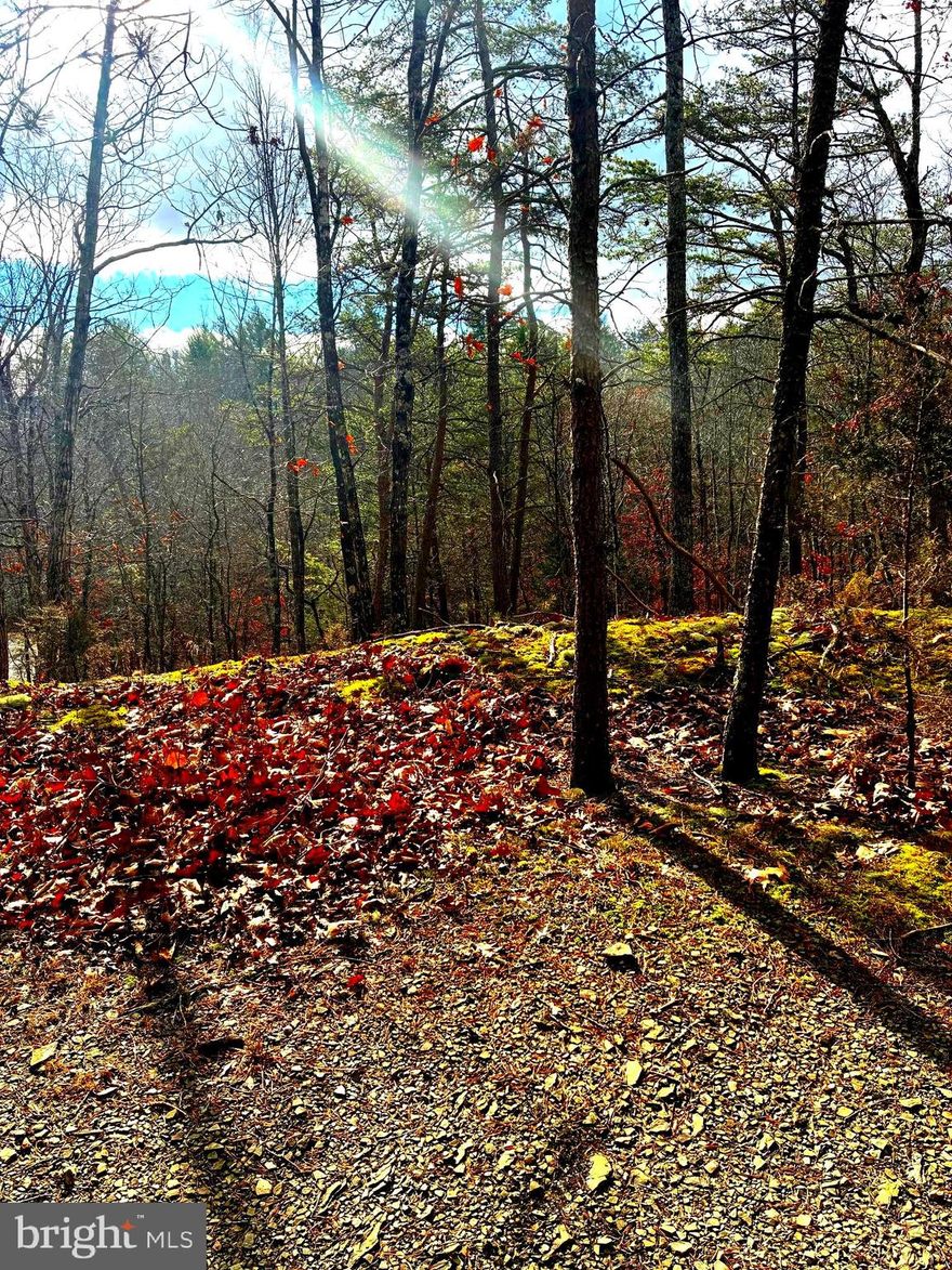 9 Fantastic Buildable Lots with Mountain Views Near Bryce Resort.  NO HOA 

Don’t miss this fantastic opportunity to own gently sloping, buildable lots with stunning mountain views, offering privacy and direct access to a scenic hiking trail that circles Lake Laura—perfect for fishing, swimming, and kayaking! Just 5 minutes from the slopes and clubhouse at Bryce Resort.  The resort recently added four new backside trails for the 2025 season (a green, two blues, and a black) and a new SkyTrac Quad lift, increasing skiable terrain by 35% with full snowmaking support for the expanded area.  Enjoy year-round activities including downhill mountain biking, snow skiing, ice skating, snow tubing, pickleball, an 18-hole golf course, driving range, and an indoor heated saltwater pool and fitness center. 

Whether you’re looking to build your dream vacation home, generate income as a short-term rental, or settle in as a year-round resident, these lots offer endless possibilities with NO HOA restrictions.

Seize this rare chance to create your own private retreat in the heart of adventure!

Zoned R3 but grandfathered.  No min lot size required by zoning and grandfathered  setbacks are as follows: 
(35 ft Front
10 ft Sides
25 ft Rear)

Lot lines shown on photos are approximate.