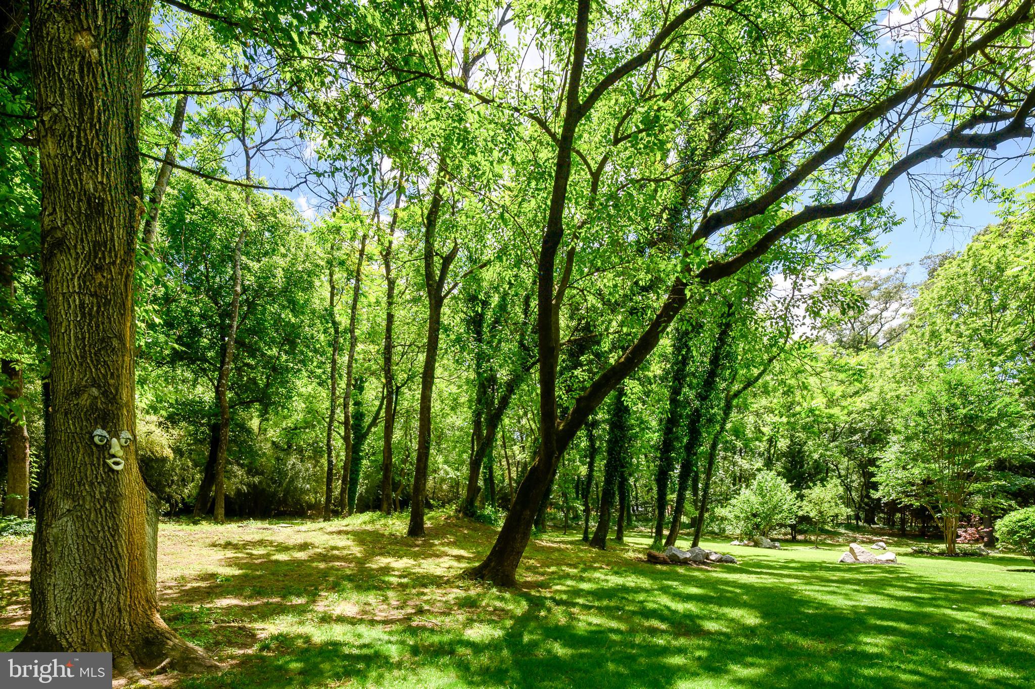 THE DALES - Residential