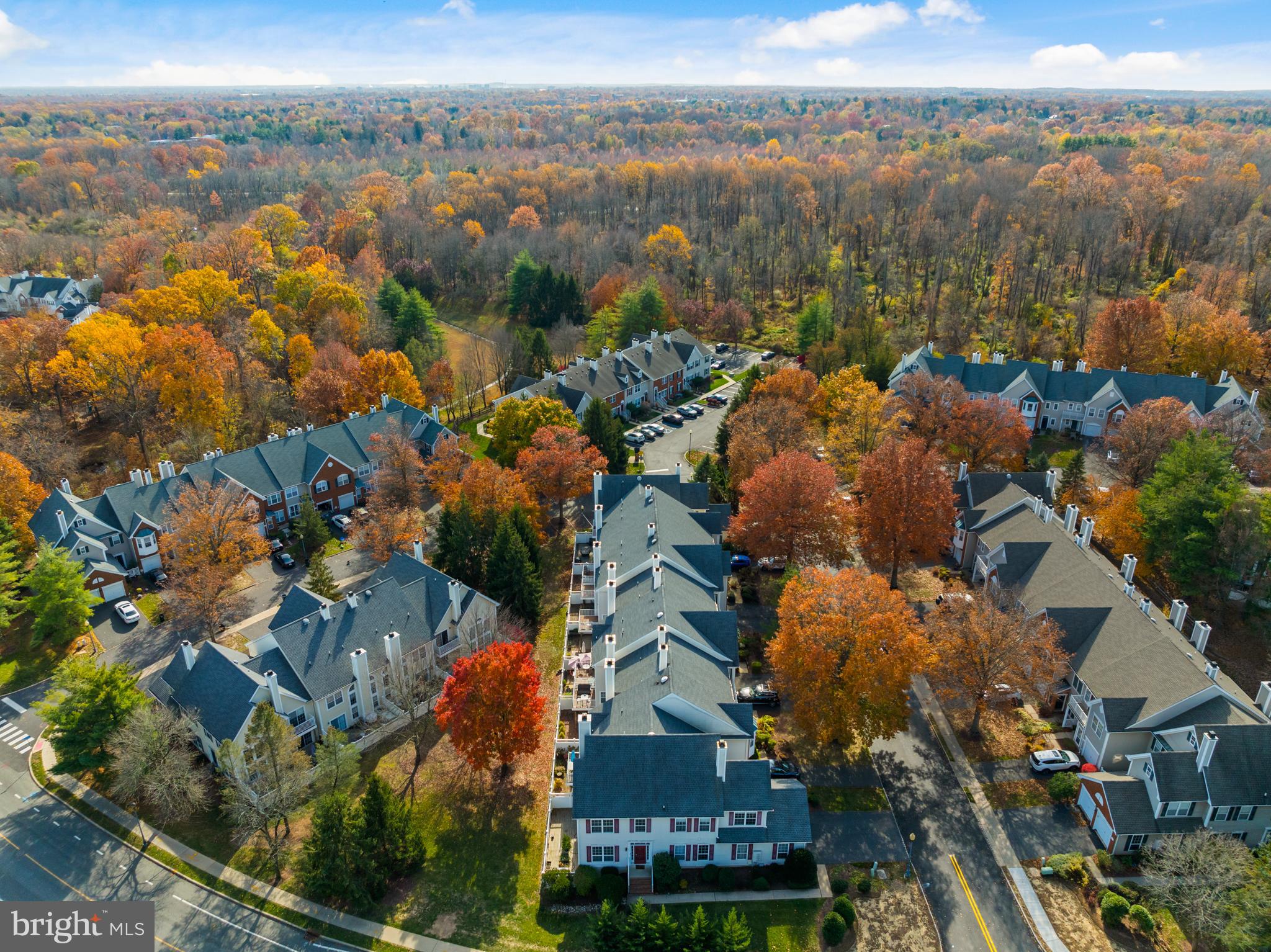 BRANDON FARMS - Residential