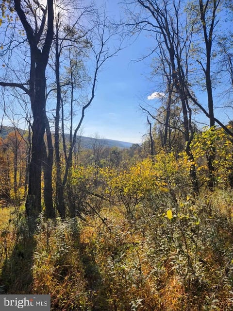 Vacant Land For Sale - Off Natures Symphony<br/> Bedford County, IMLER, PA 16655