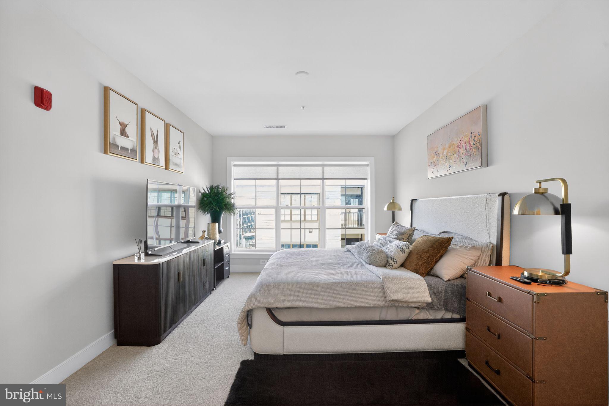 THE FLATS AT NATIONAL HARBOR - Residential