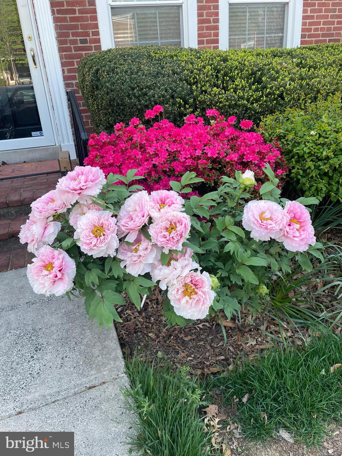 FAIRLINGTON VILLAGES - Residential