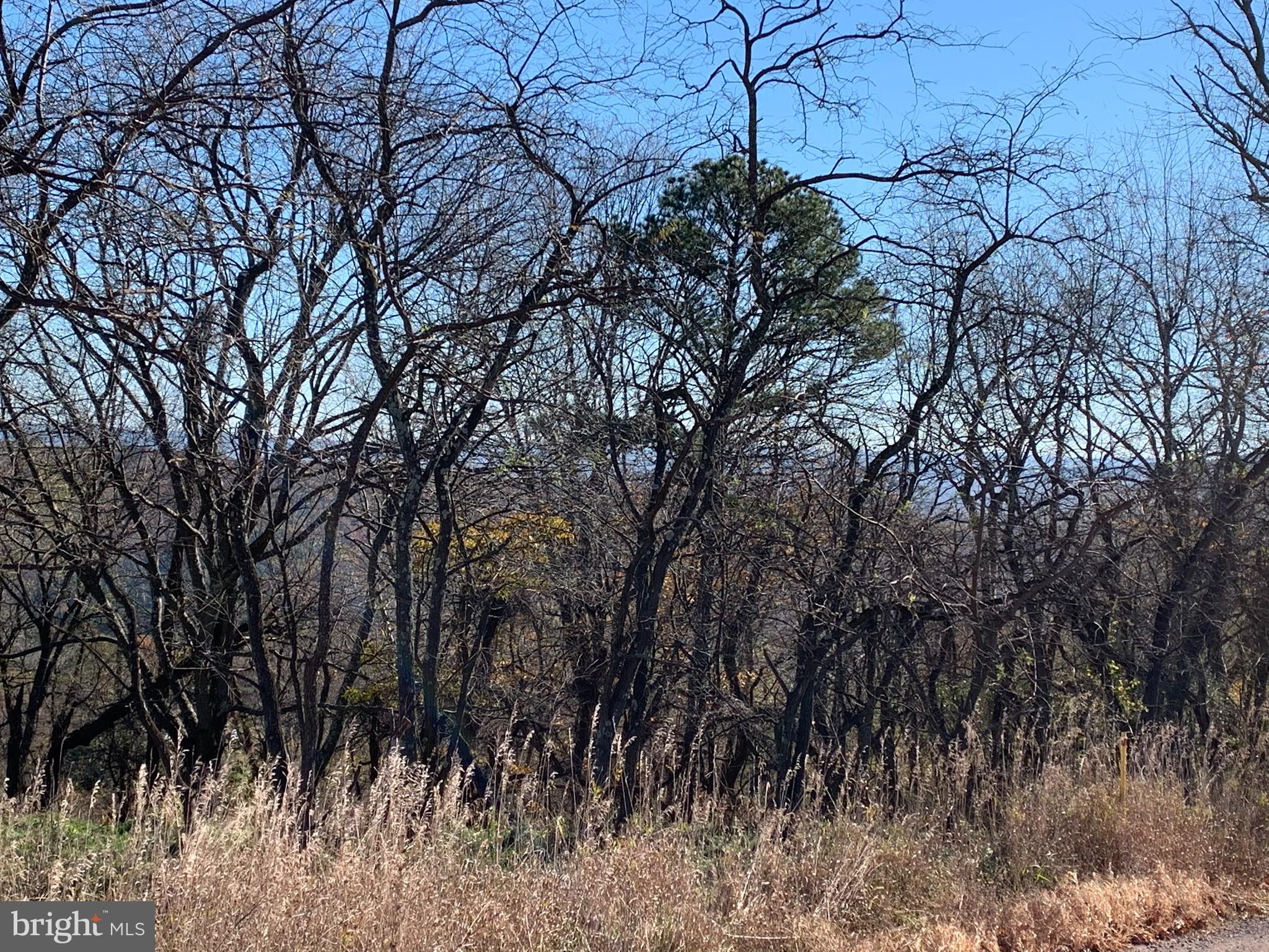 LOST MOUNTAIN - Land