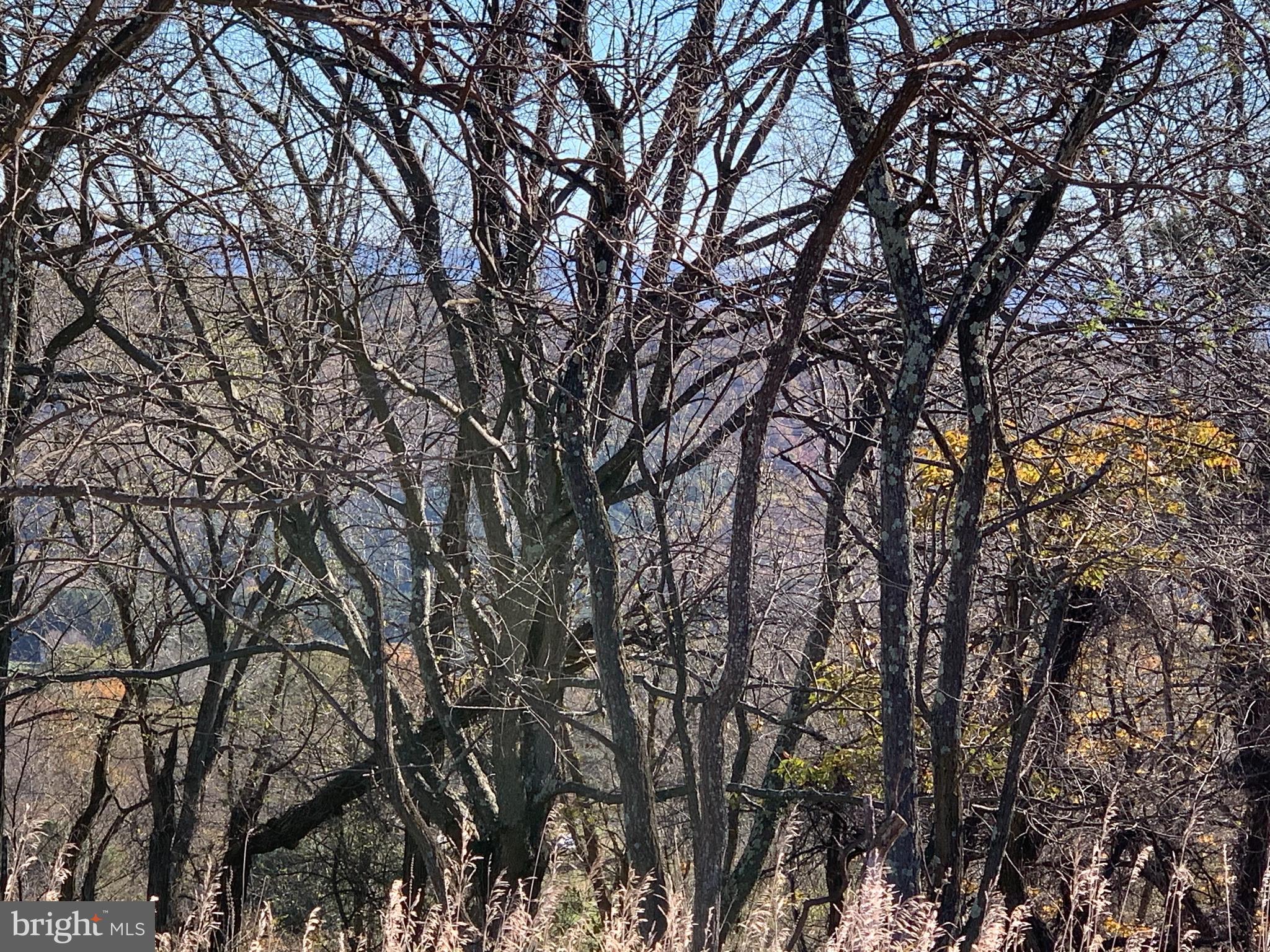 LOST MOUNTAIN - Land