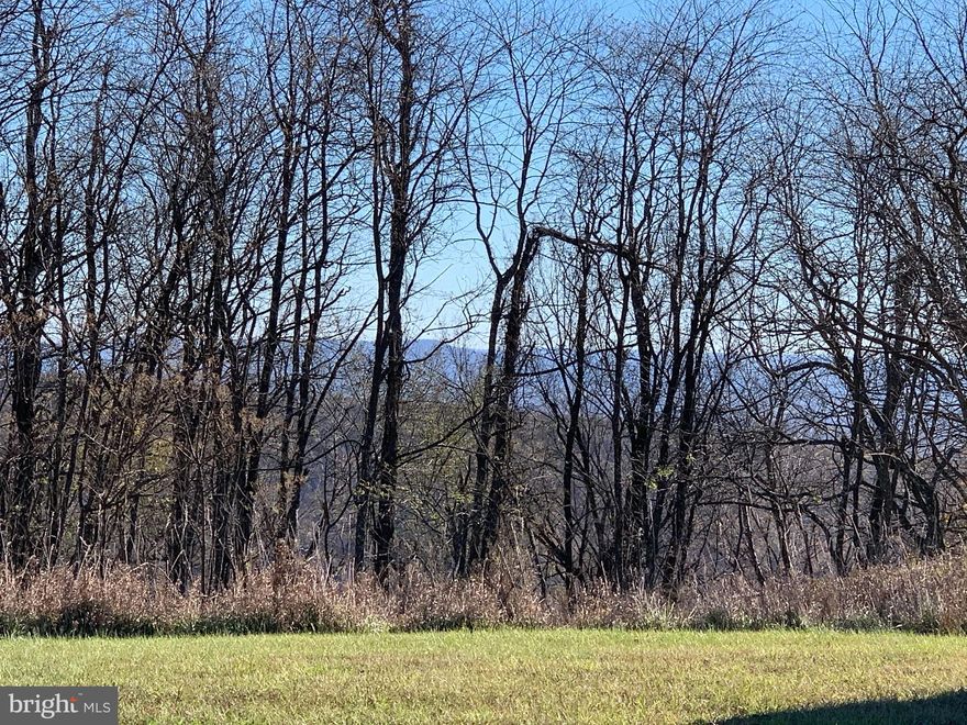 CORNER LOT IN NICE COMMUNITY, BORDERS COMMUNITY AIRSTRIP, WOODED, SLOPED, LONG RANGE VIEW WITH A LITTLE CLEARING.  COMMUNITY HAS PRIVATE ACCESS TO 10,000 ACRE NATHANIEL MOUNTIN WILDLIKE MANAGEMENT AREA.  COUNTRY SETTING BUT CLOSE TO TOWN OF ROMNEY.  WHAT MORE COULD YOU ASK FOR.