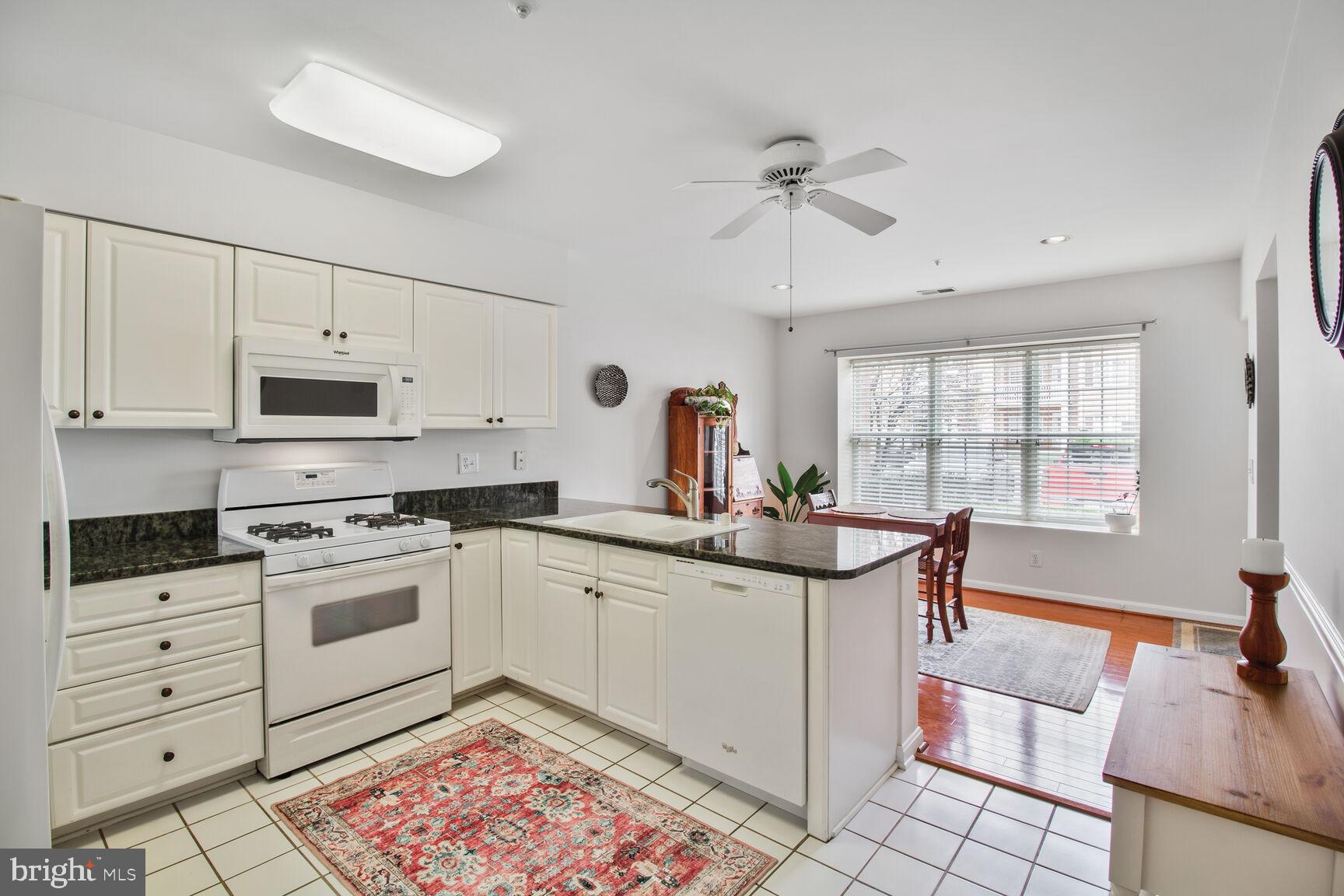 12105 TULLAMORE COURT 101