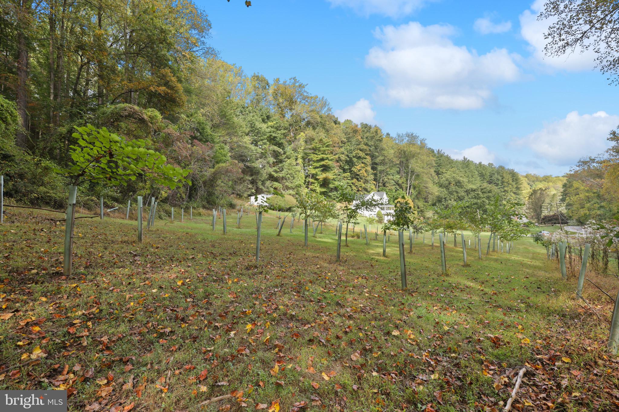 WOODSTOCK - Residential