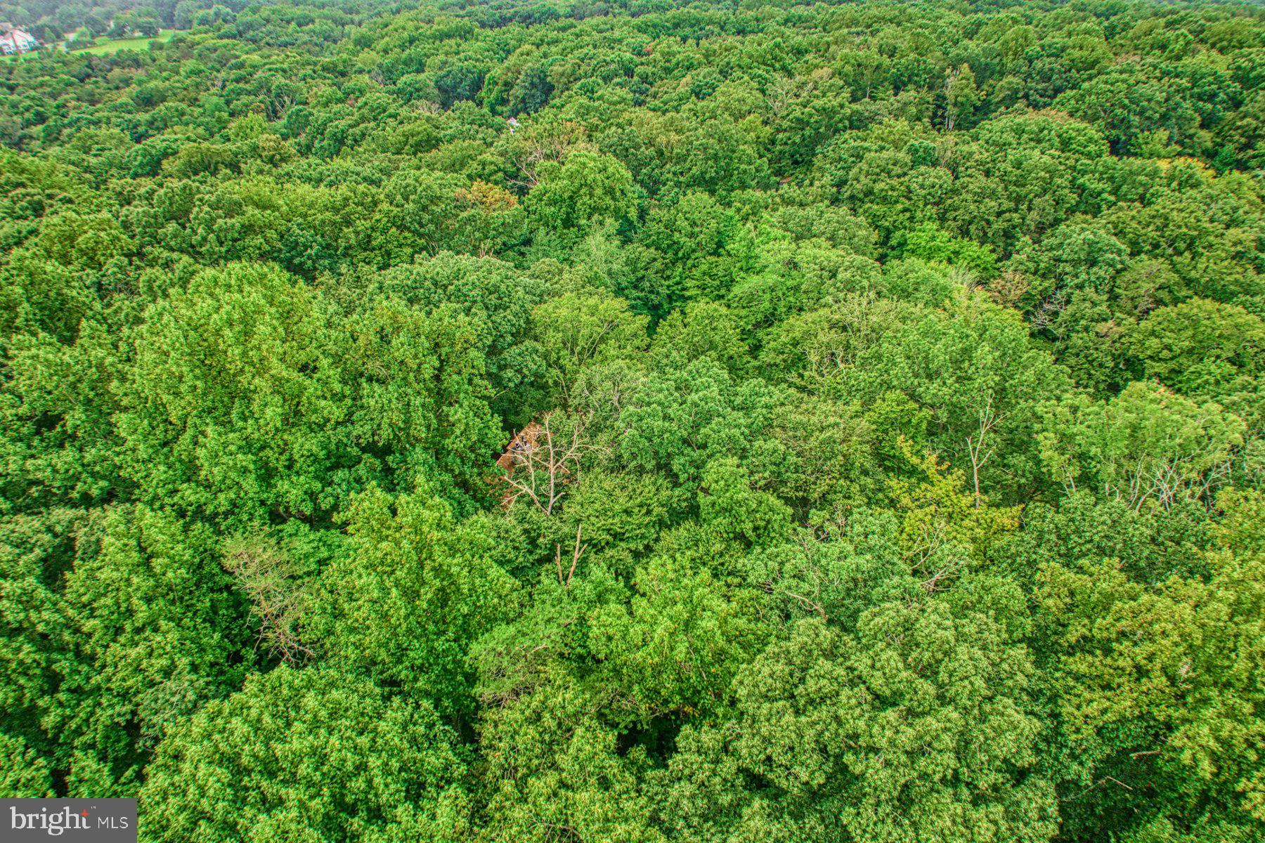 CARRWOOD ESTATES - Residential