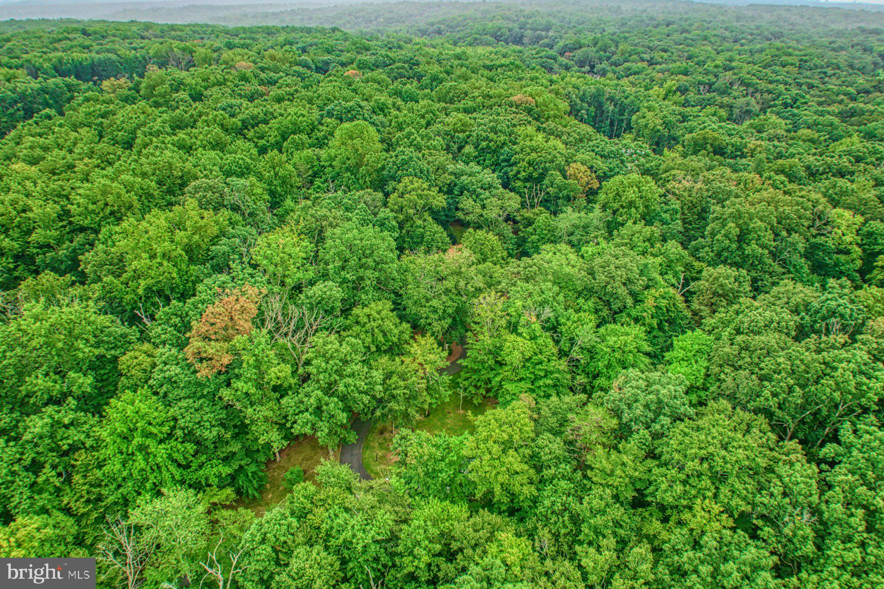 CARRWOOD ESTATES - Residential