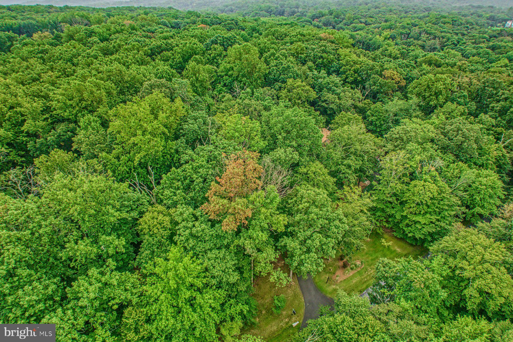 CARRWOOD ESTATES - Residential