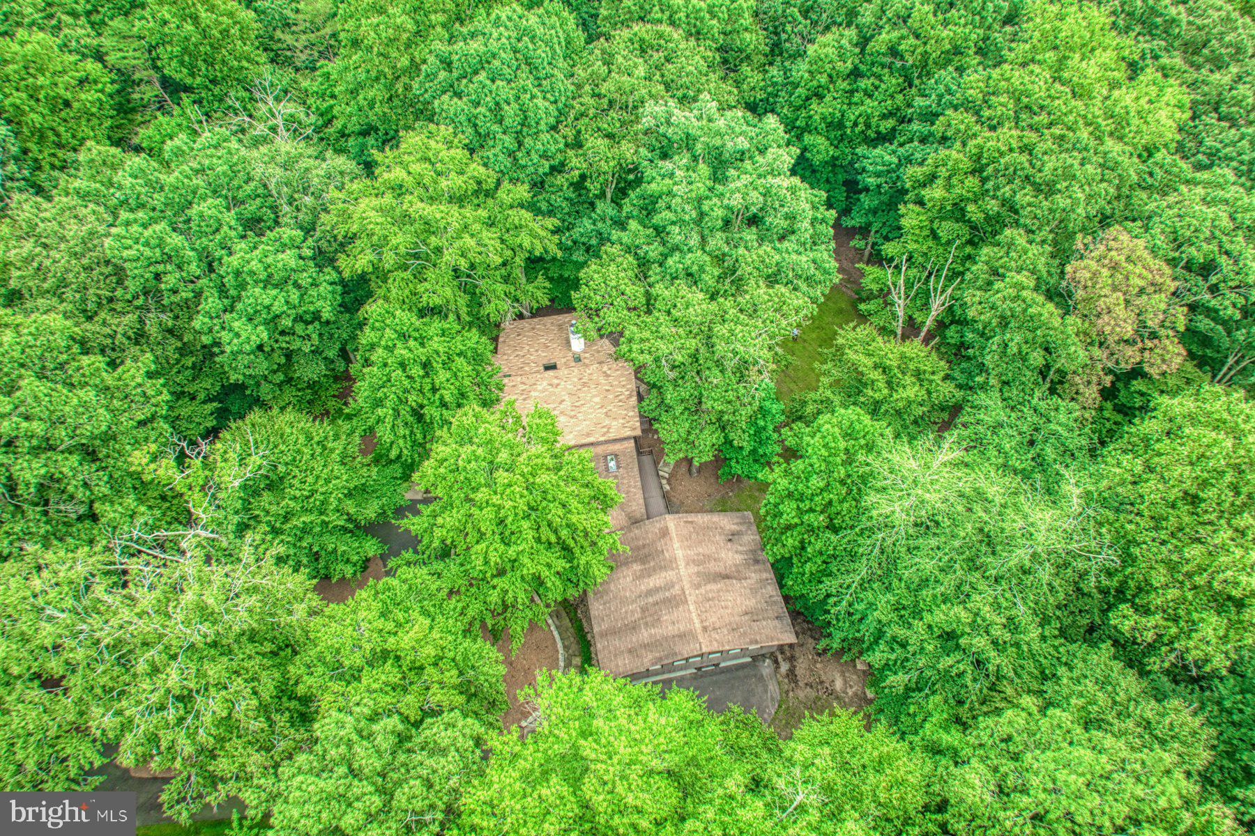 CARRWOOD ESTATES - Residential