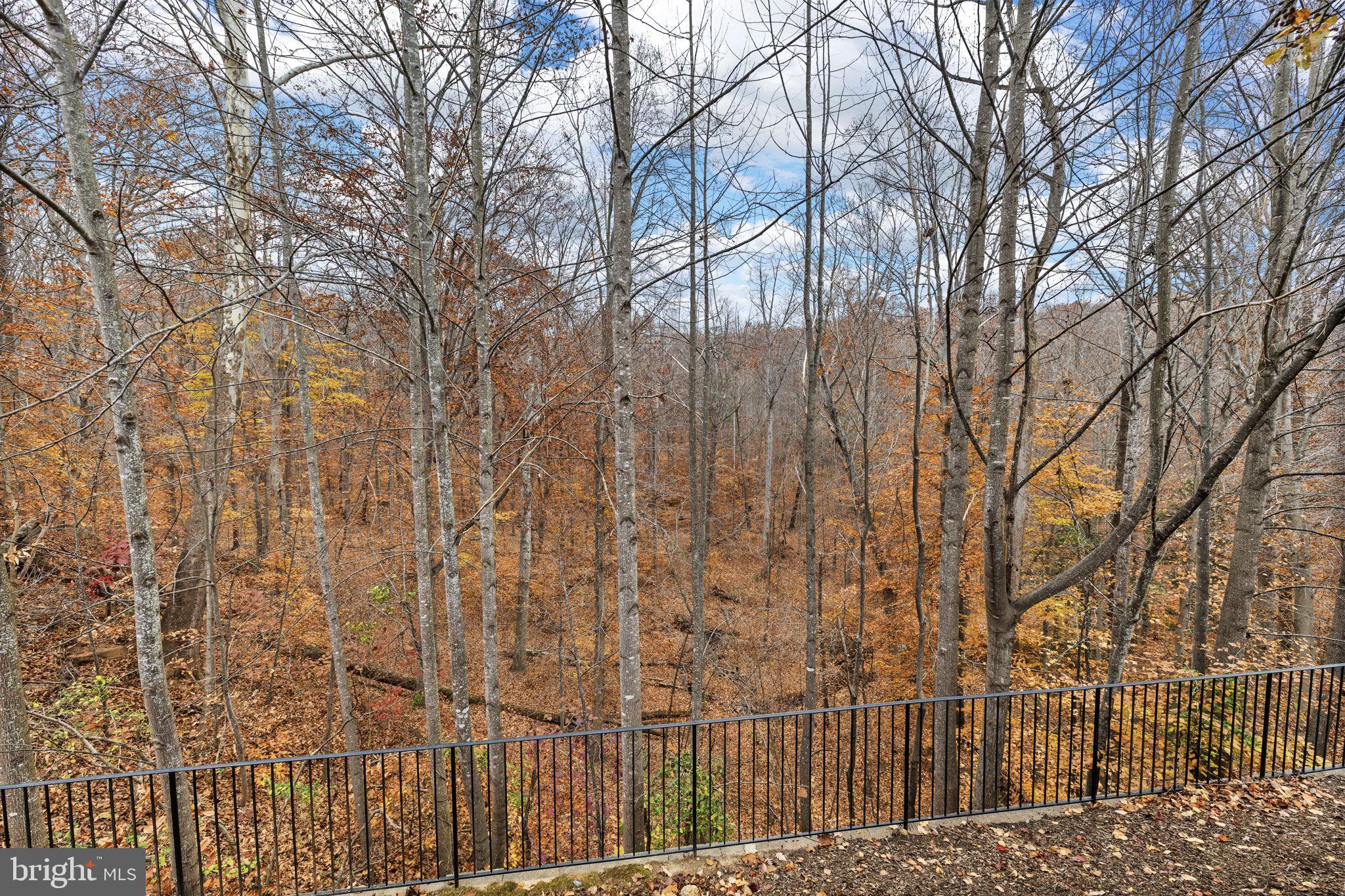 VILLAS AT SNOWDEN - Residential