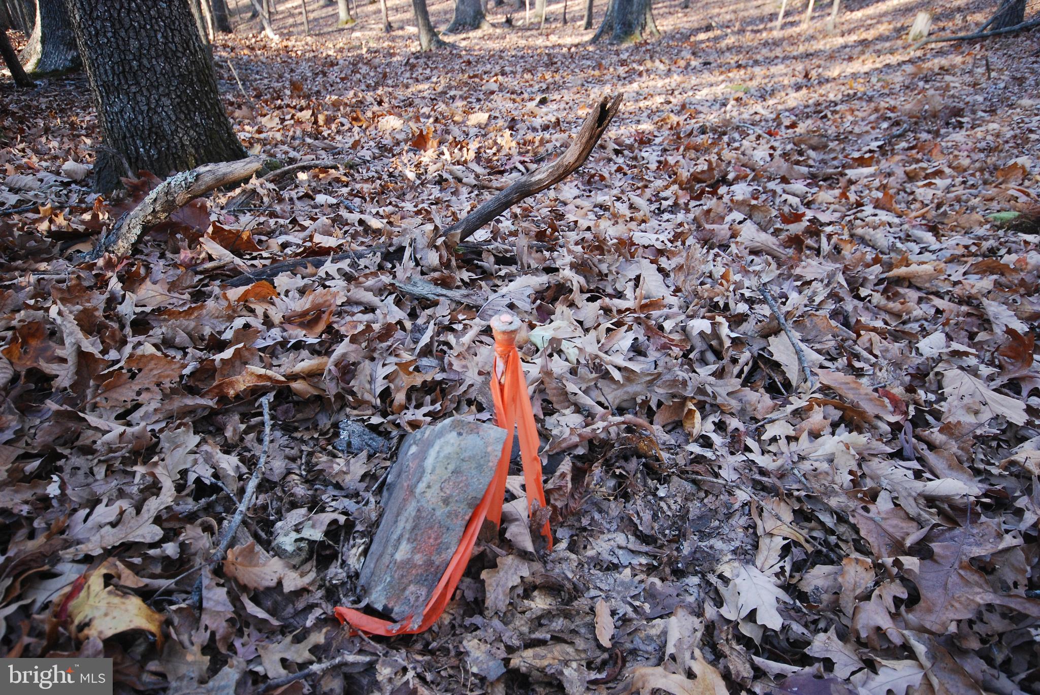 MILL MOUNTAIN ORCHARD - Land