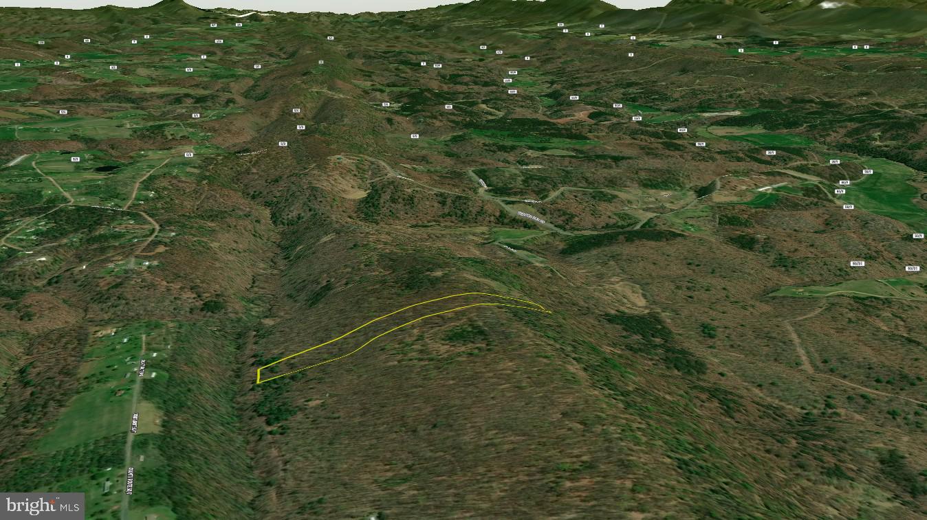 MILL MOUNTAIN ORCHARD - Land