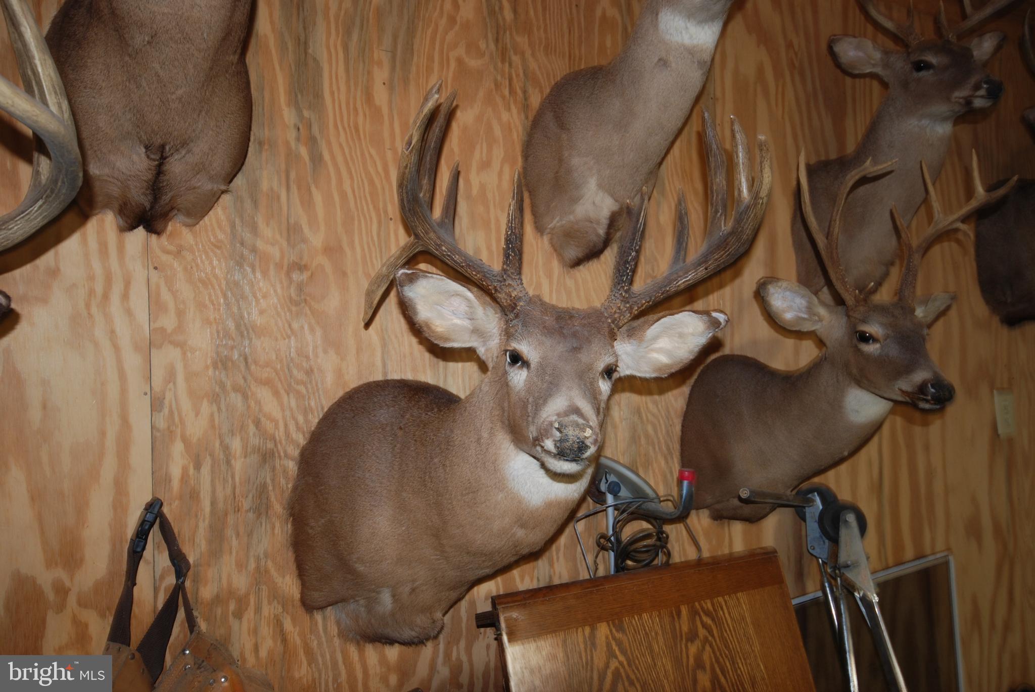 MILL MOUNTAIN ORCHARD - Land