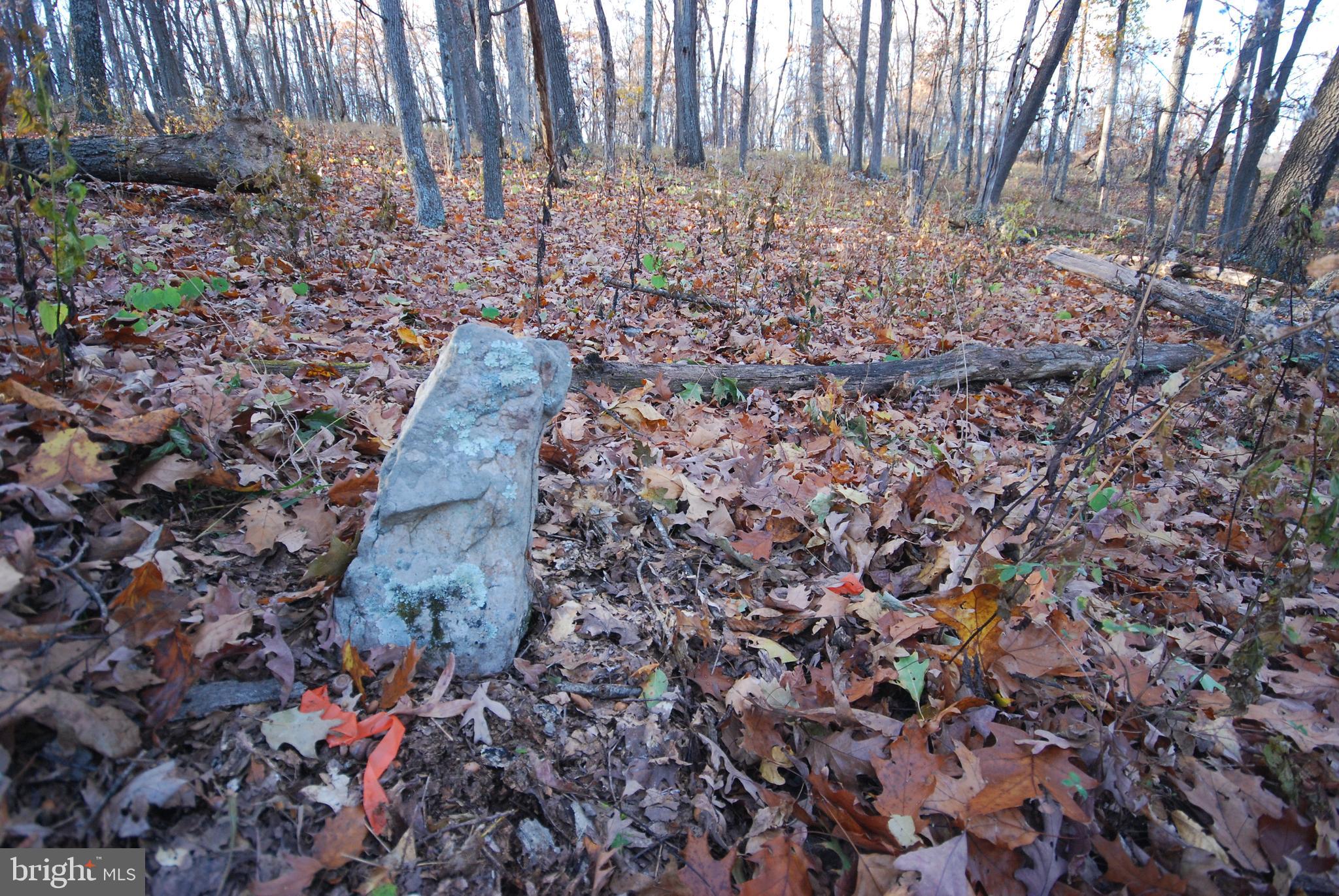 MILL MOUNTAIN ORCHARD - Land