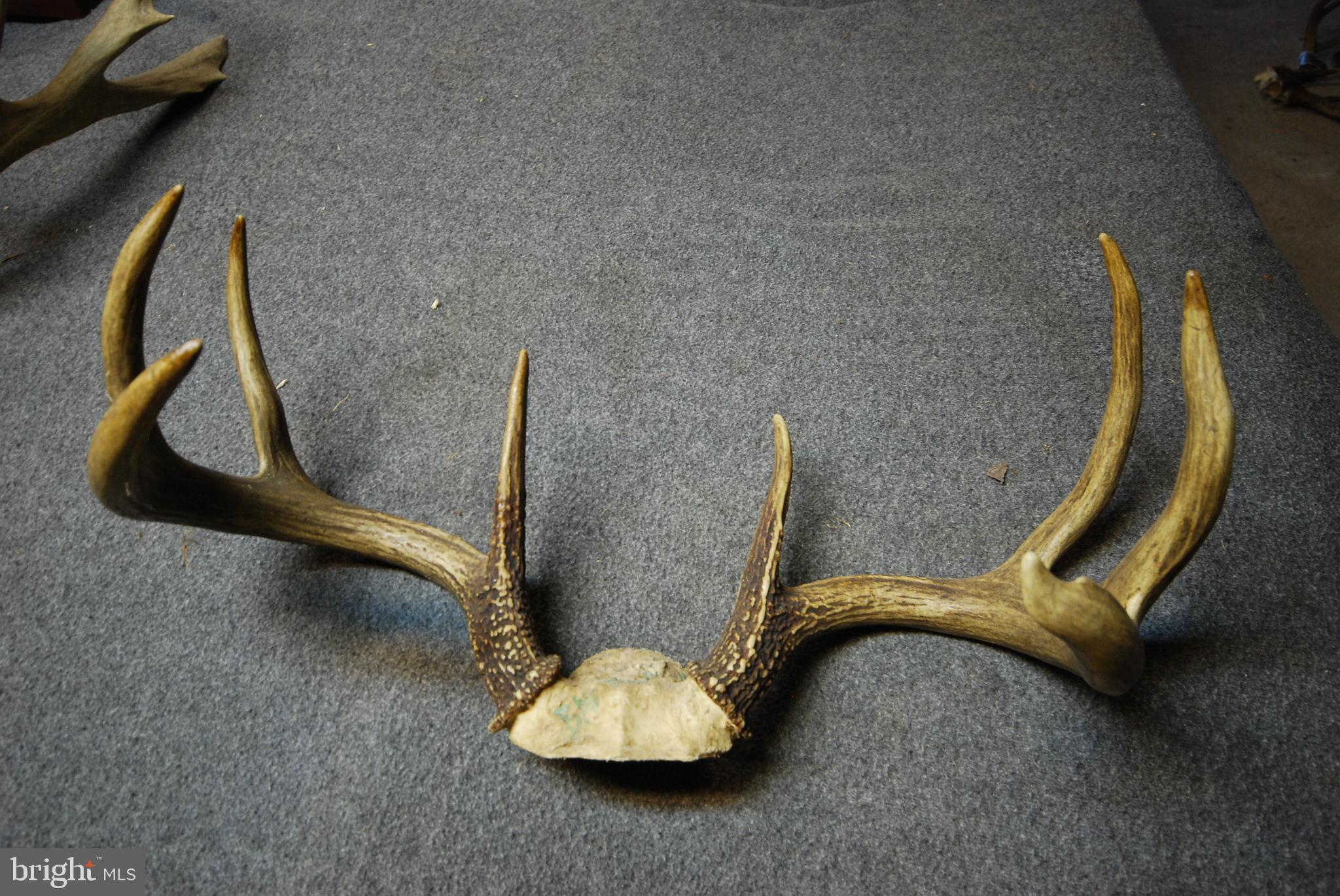 MILL MOUNTAIN ORCHARD - Land