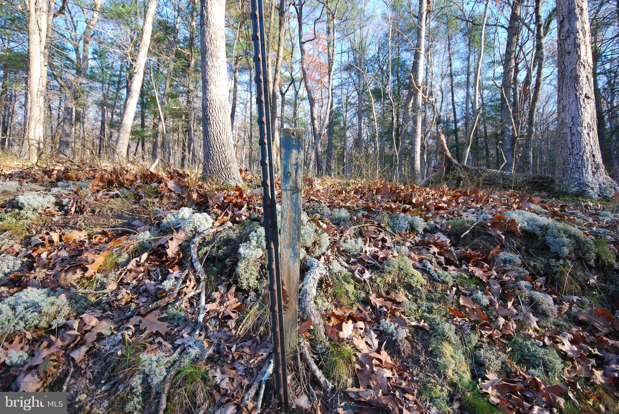 MILL MOUNTAIN ORCHARD - Land