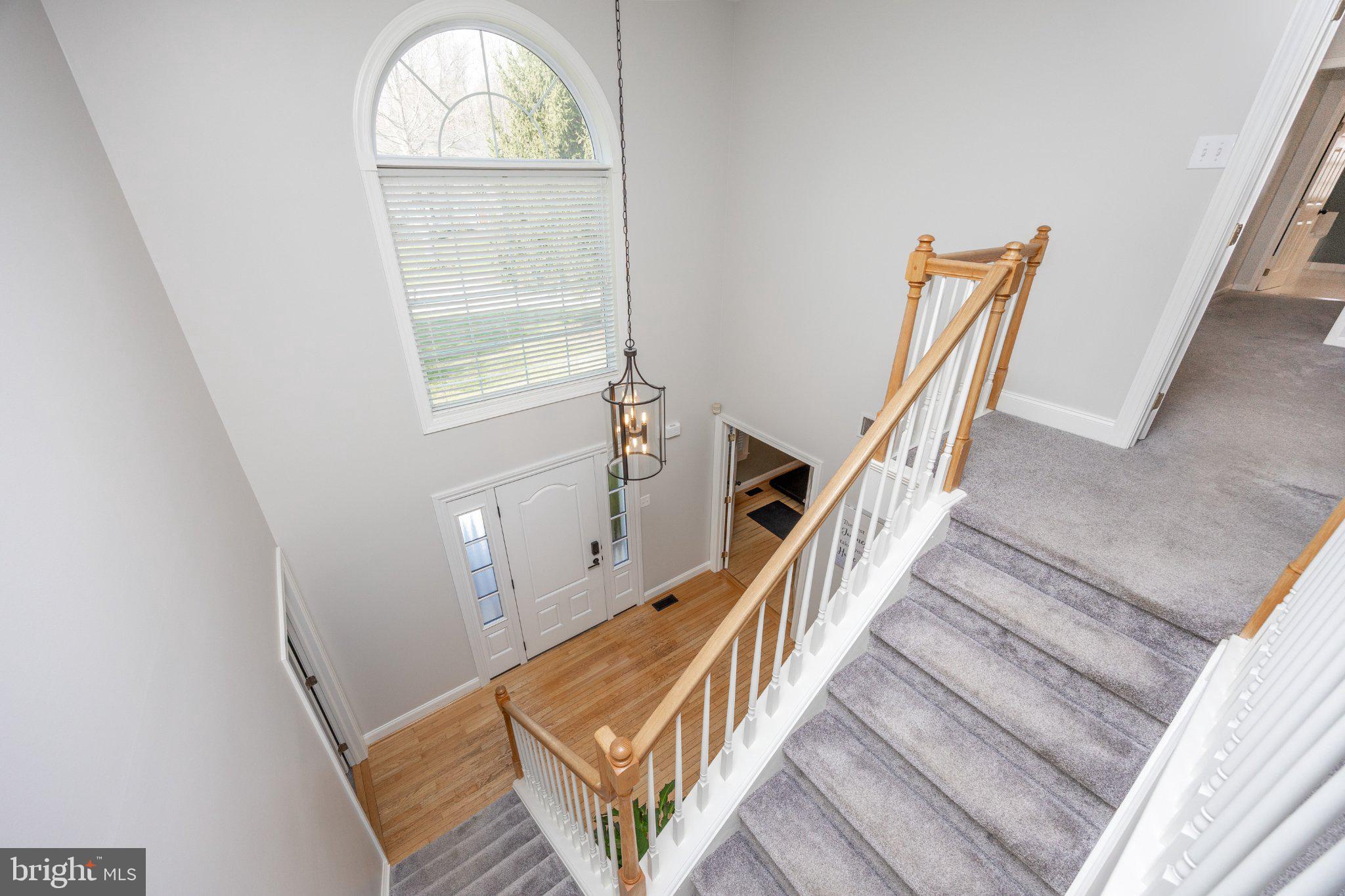 WOODS OF TAYLORS M - Residential