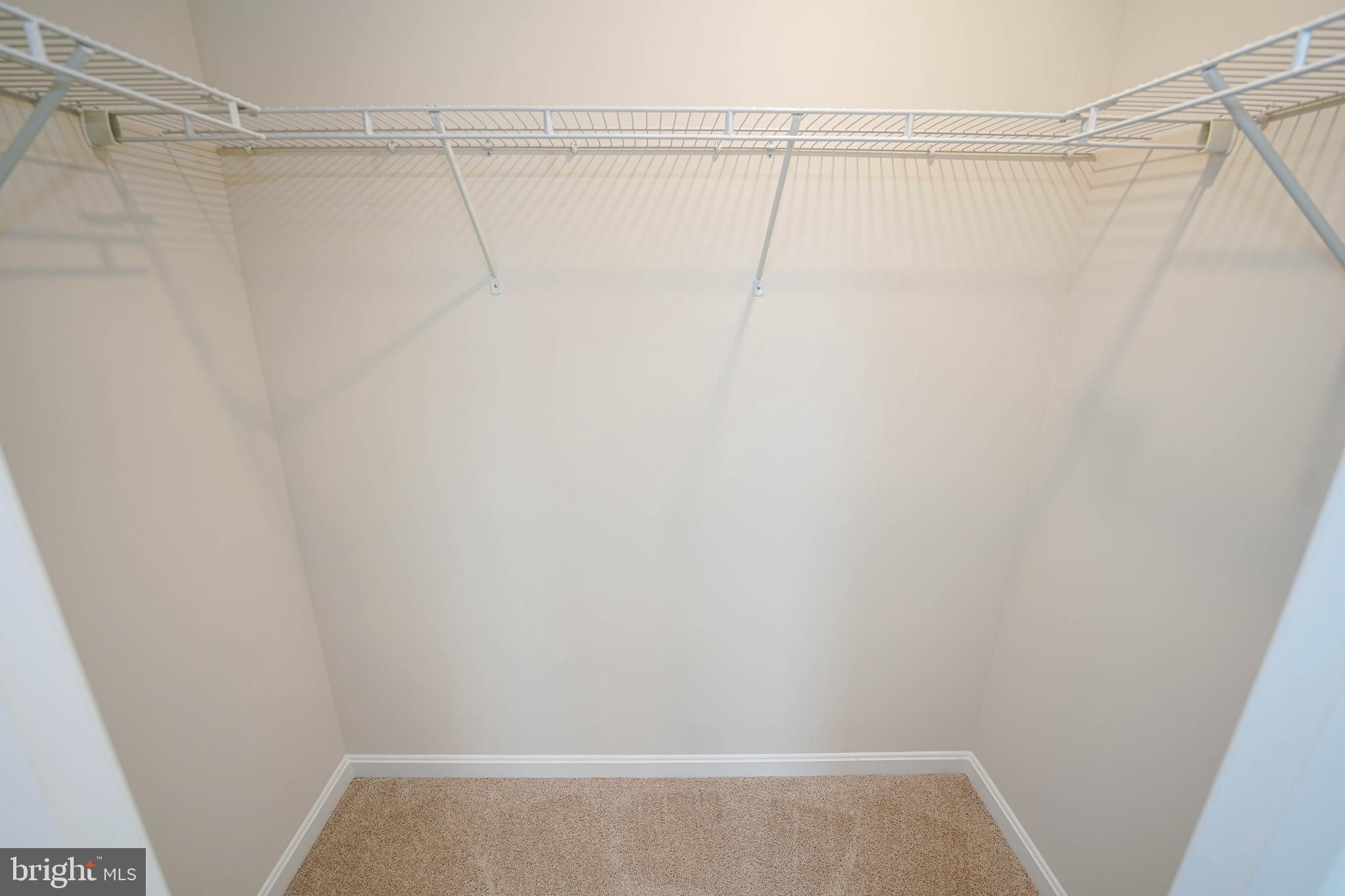 SASSAFRAS MEADOWS - Residential Lease