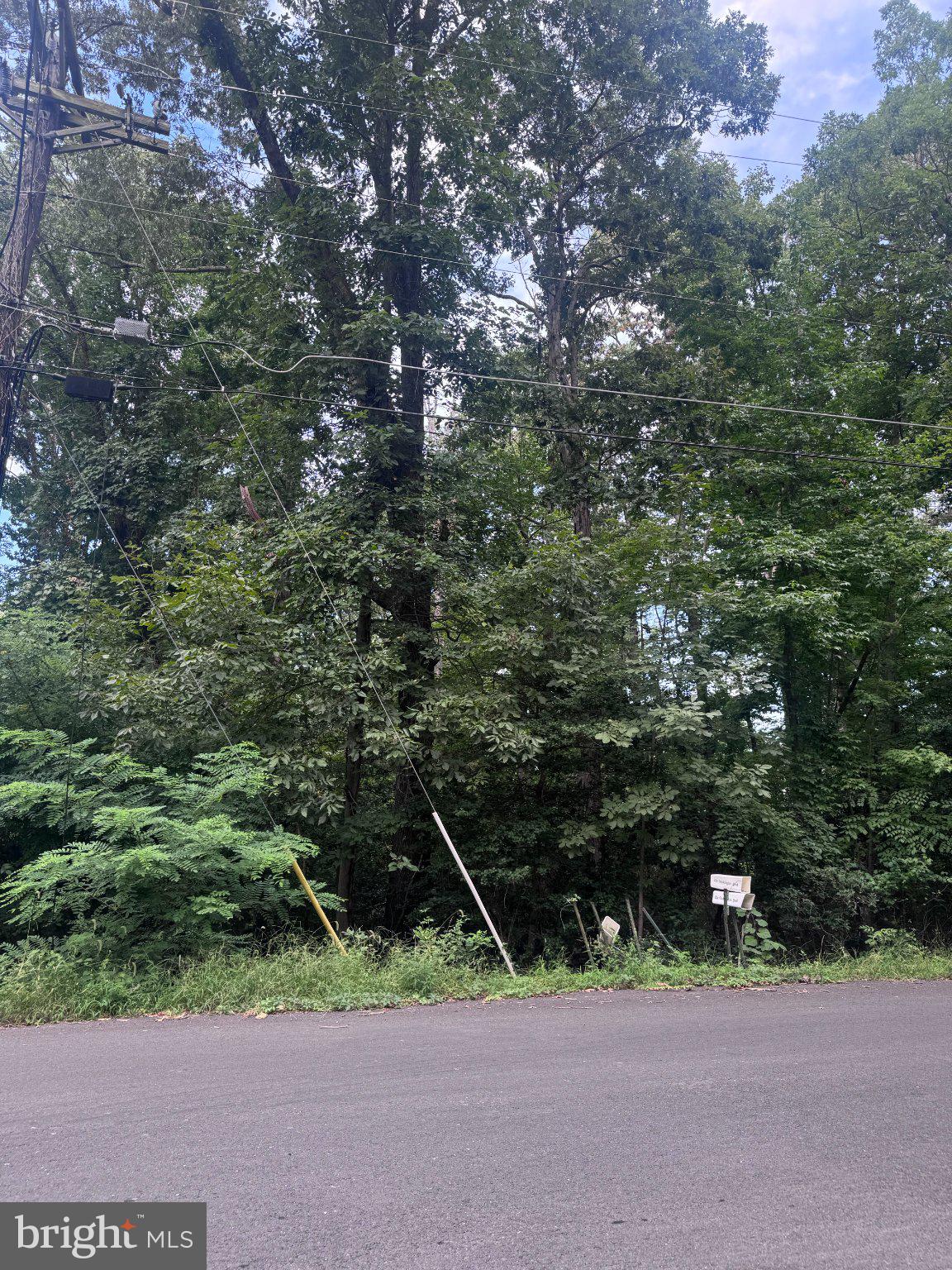 11653 MESA TRAIL