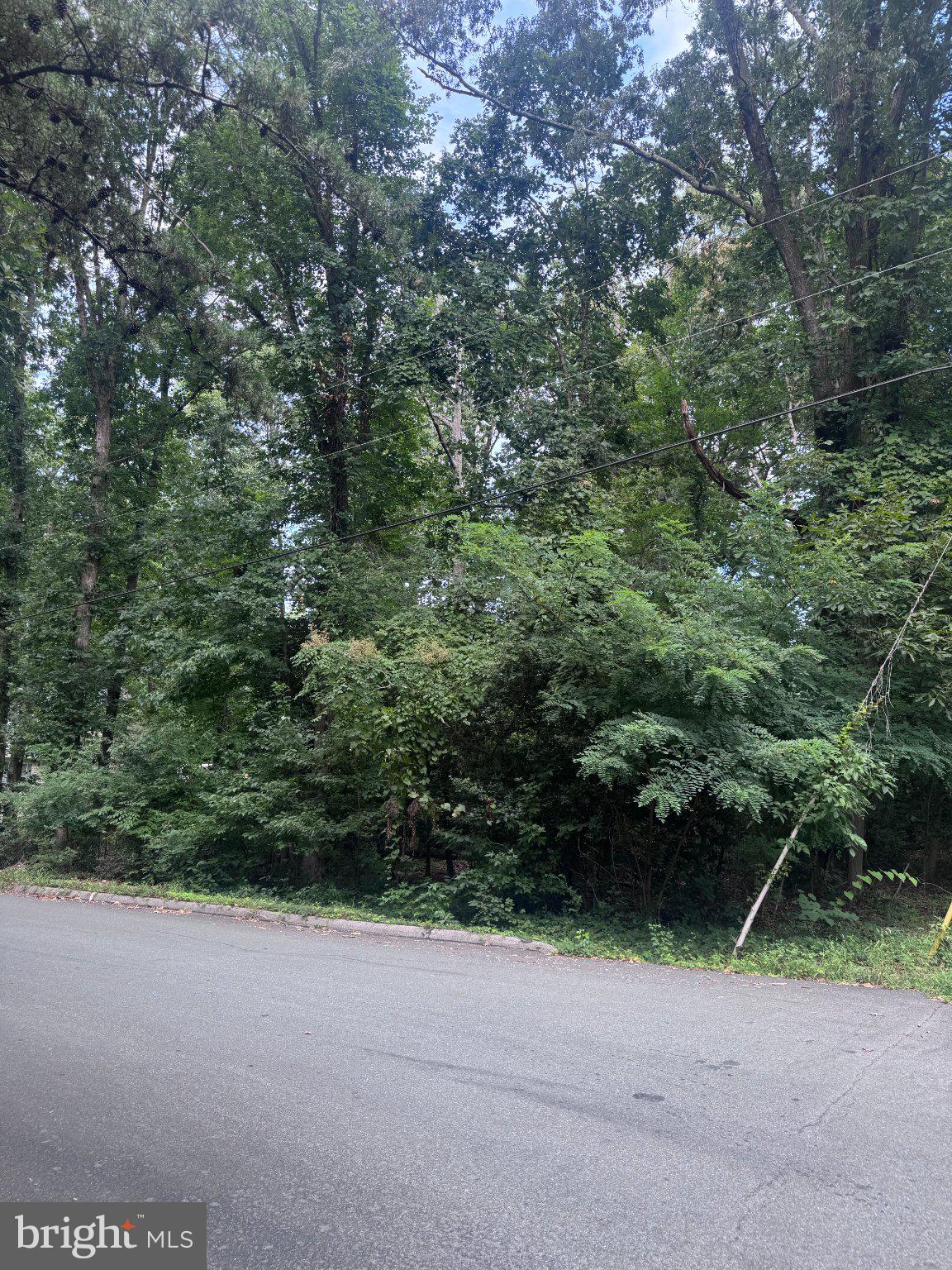 11653 MESA TRAIL