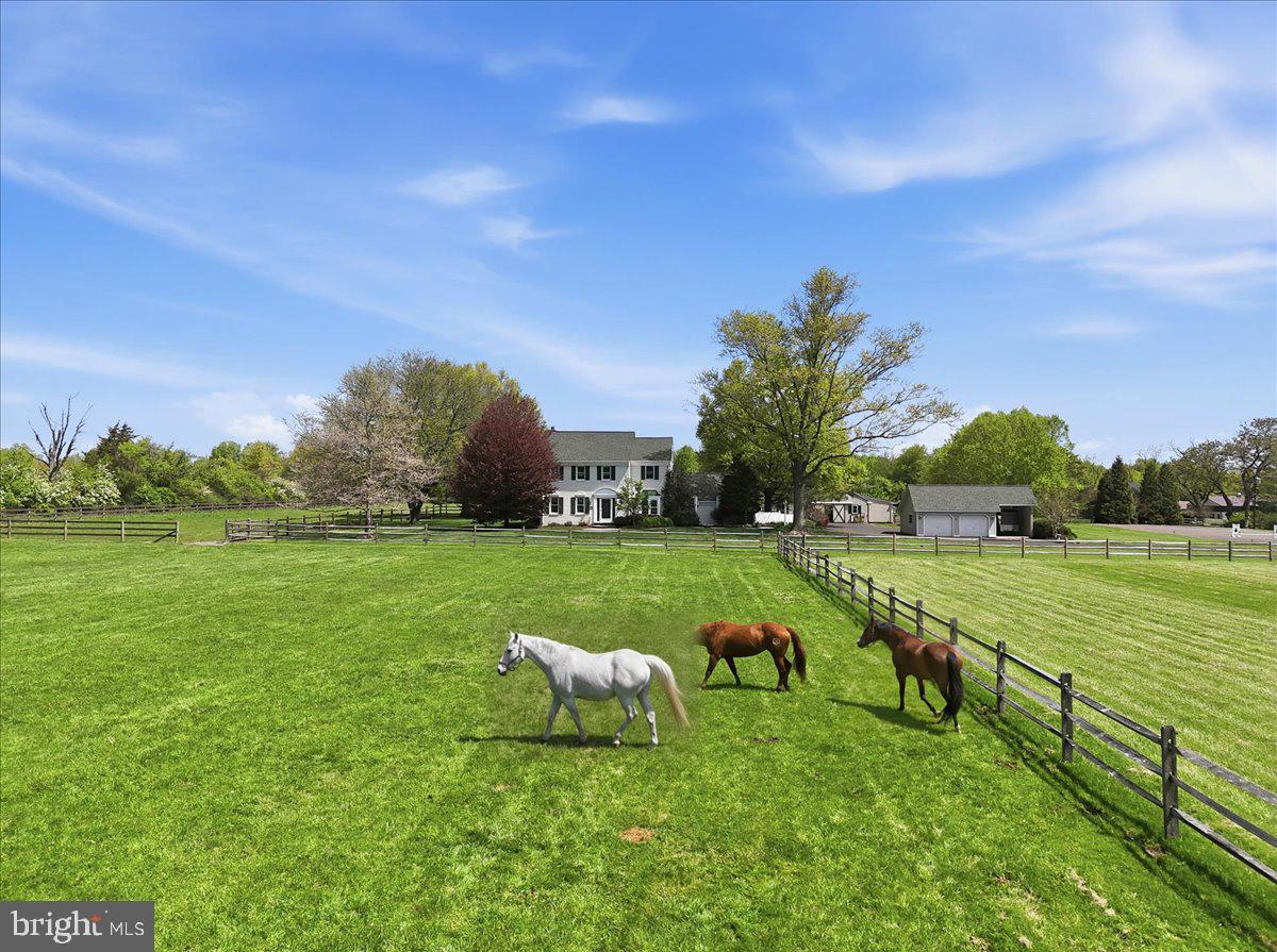 6423 BLUEBERRY LANE