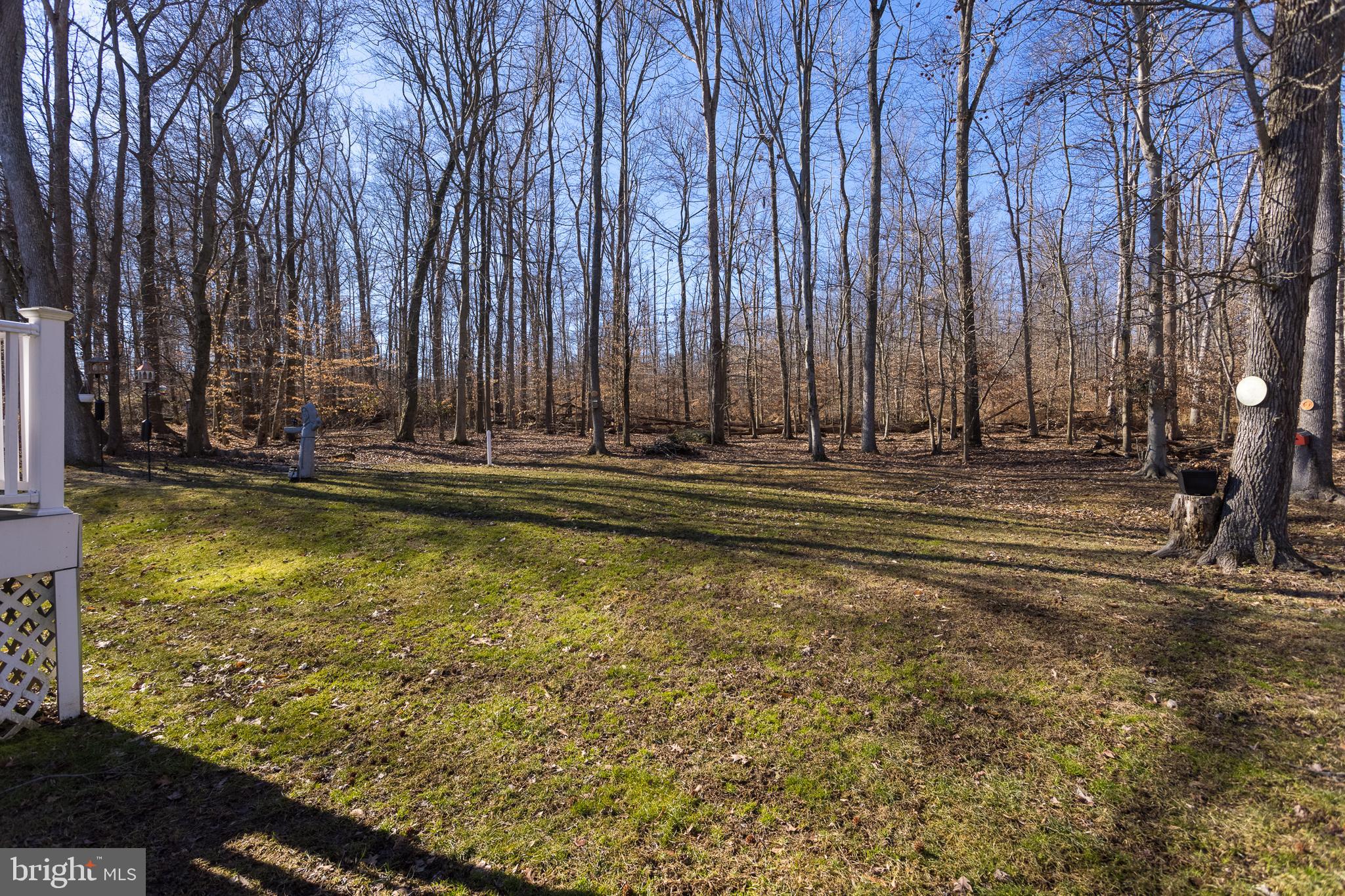 BETHEL SPRINGS - Residential