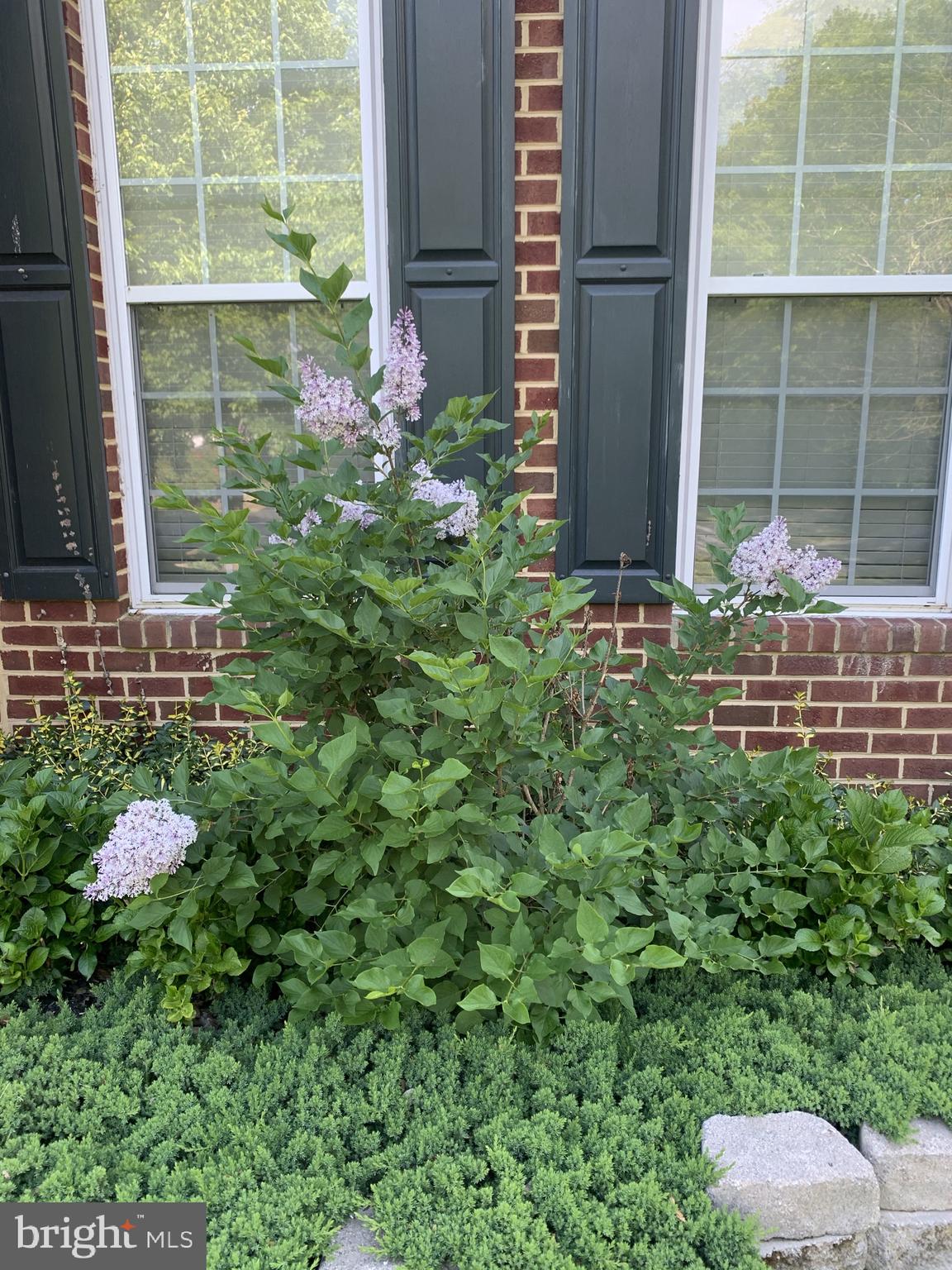 BETHEL SPRINGS - Residential