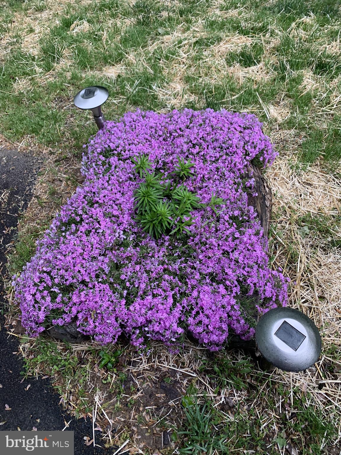 BETHEL SPRINGS - Residential