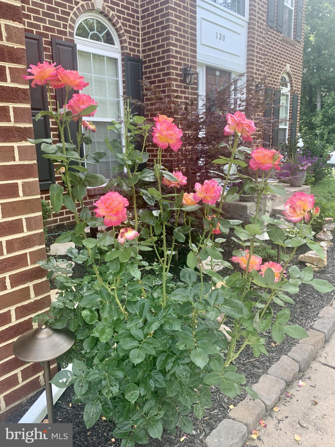 BETHEL SPRINGS - Residential