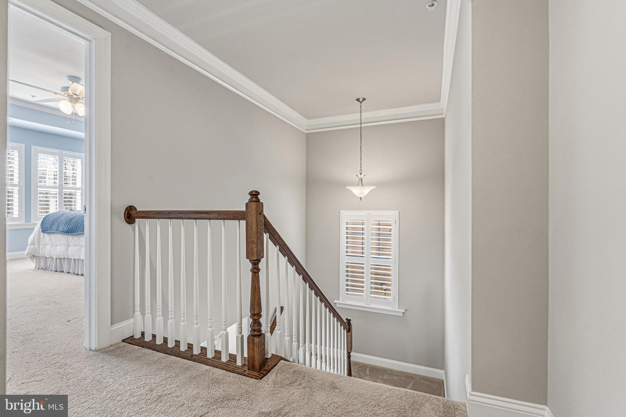 TIMONIUM HEIGHTS - Residential