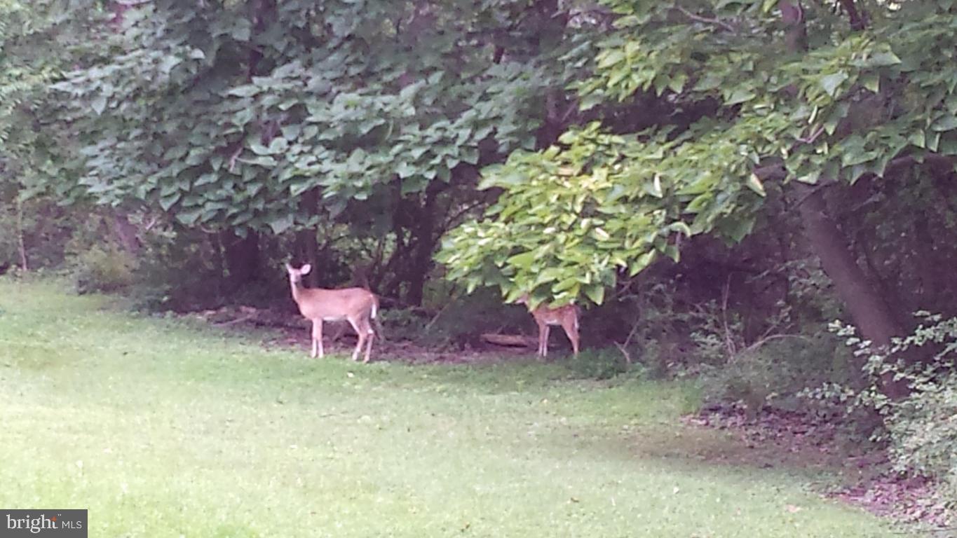 CEDAR MILL - Residential